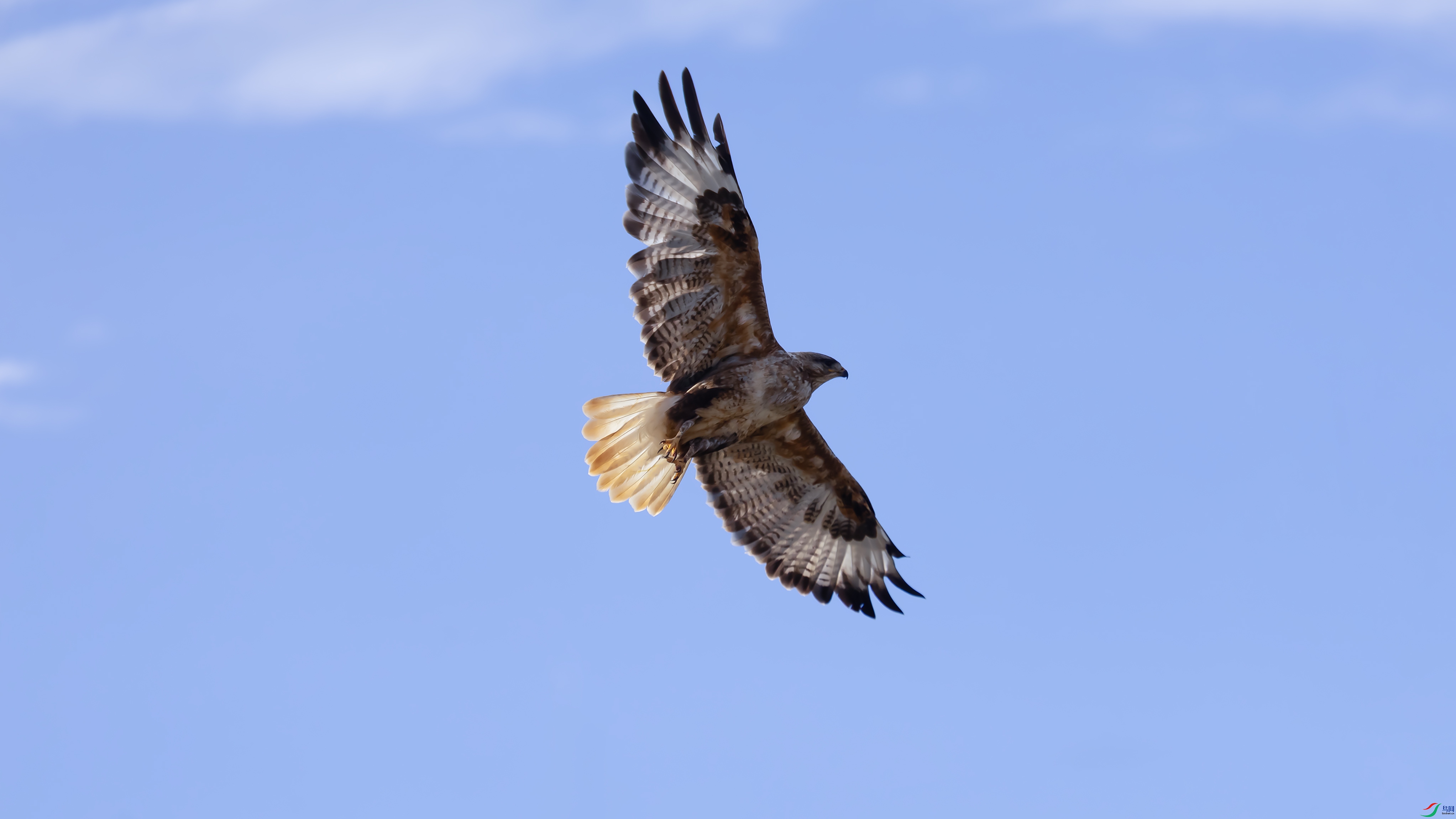 7X5A4534 ����44.jpg