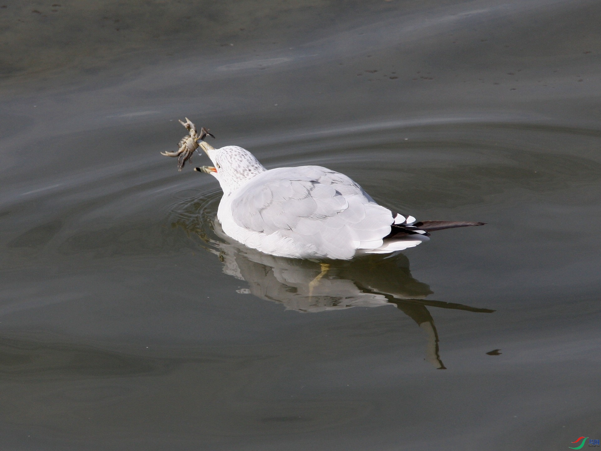 Iona020908 334t_1.jpg