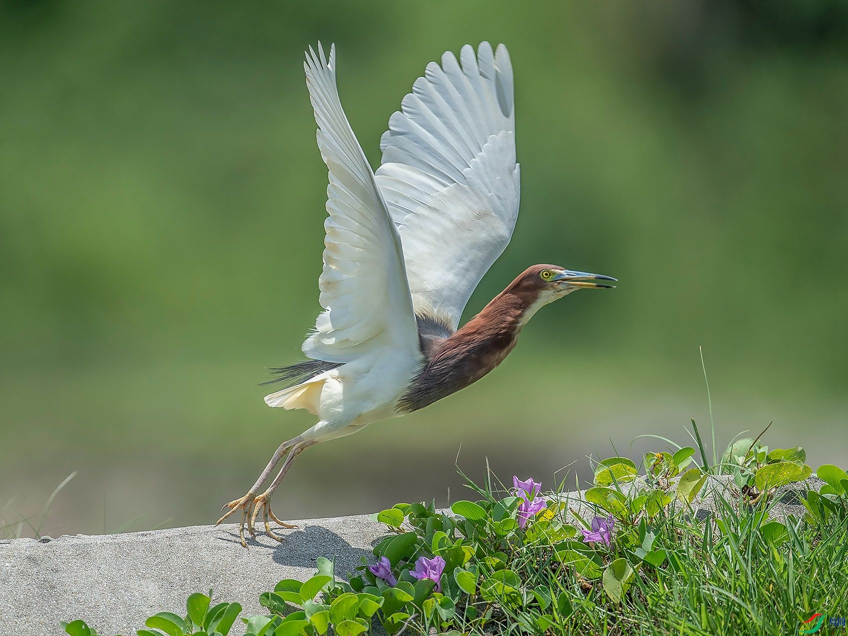 DSC_5257.jpg