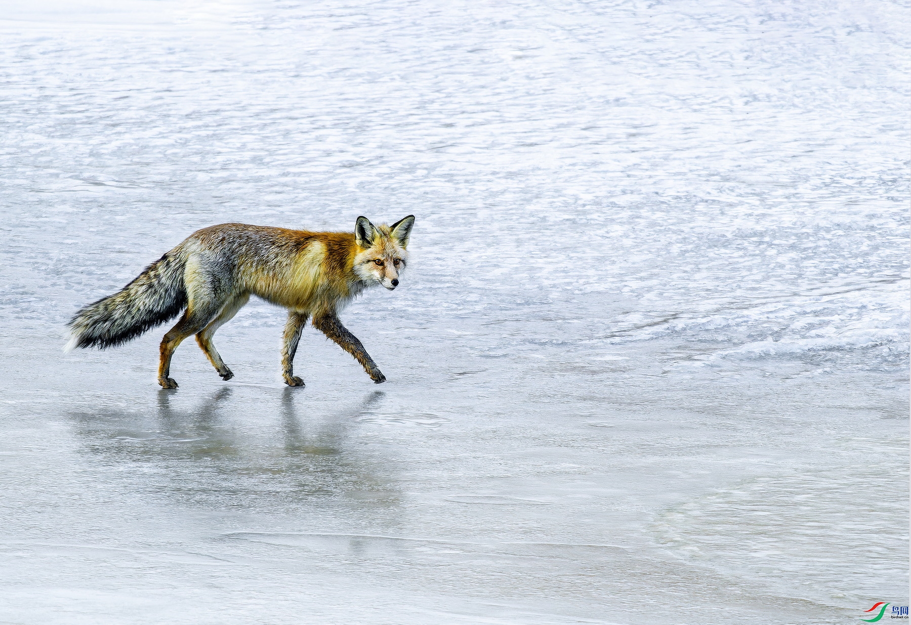 ��� (9)-01.jpg