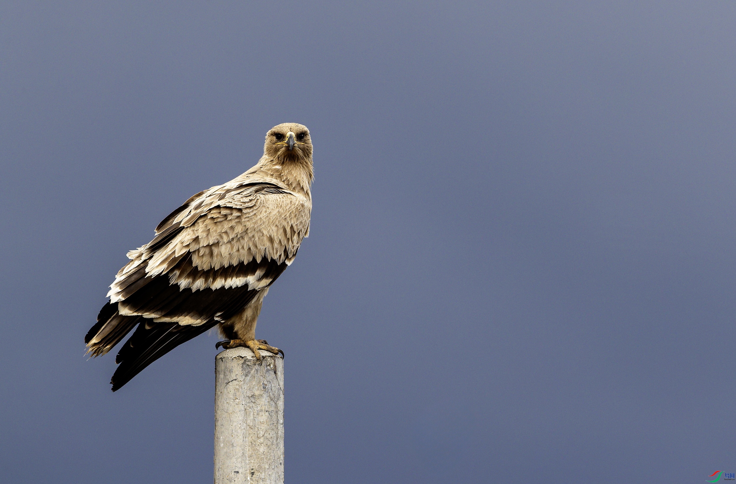 ��ԭ�� (12)-01.jpg