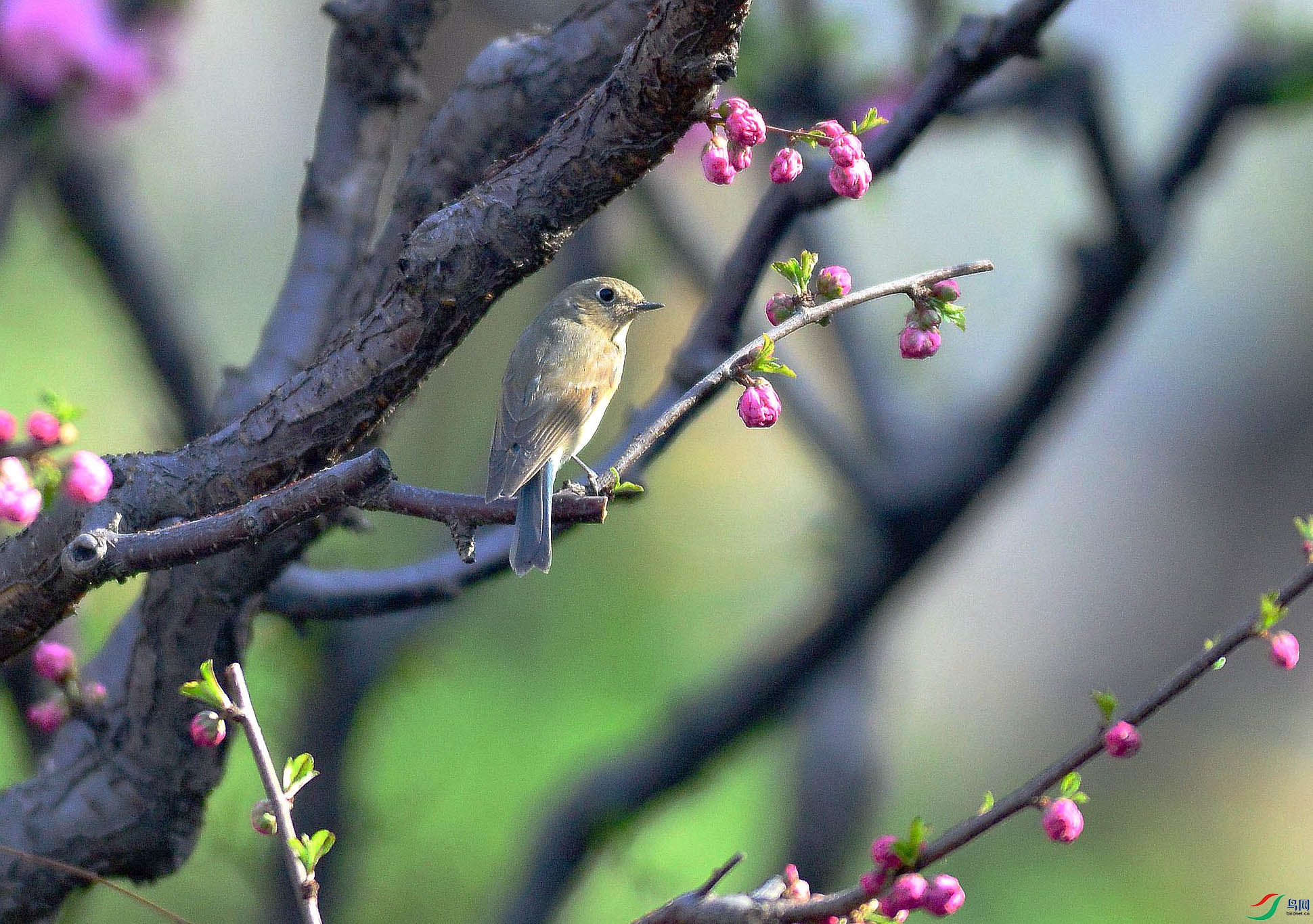 PPN_2299   ��.jpg