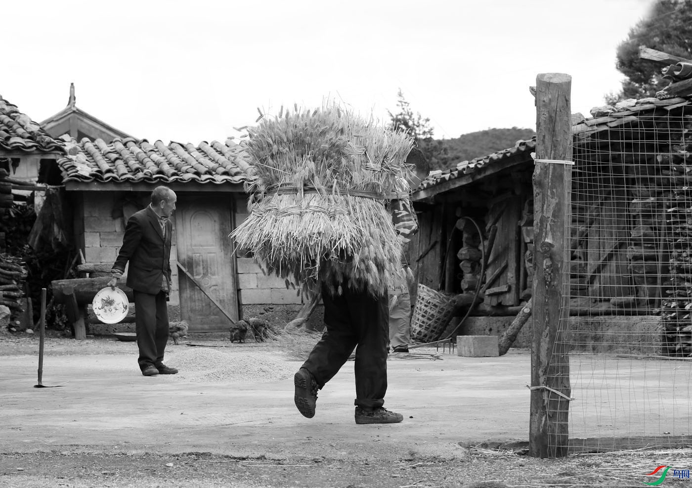 01-ׯ���ճ���  ��ʳ��������.jpg