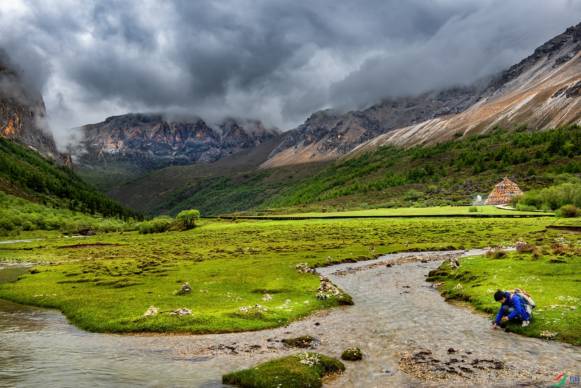 _DSC4274 - ���.jpg