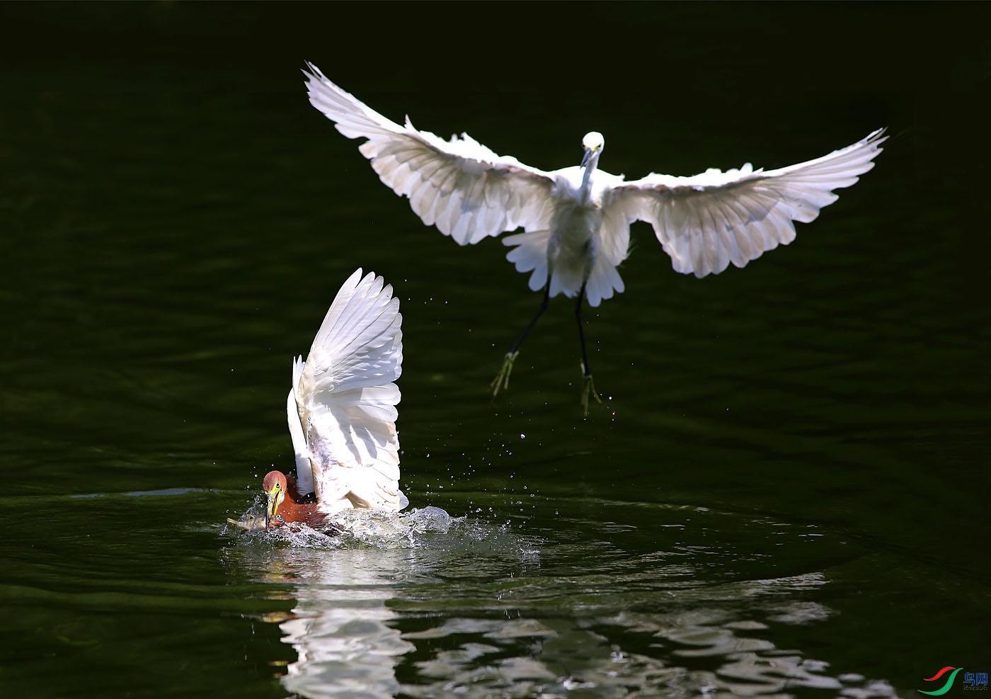 03-�ж��ٻ����ҿ� (2).jpg