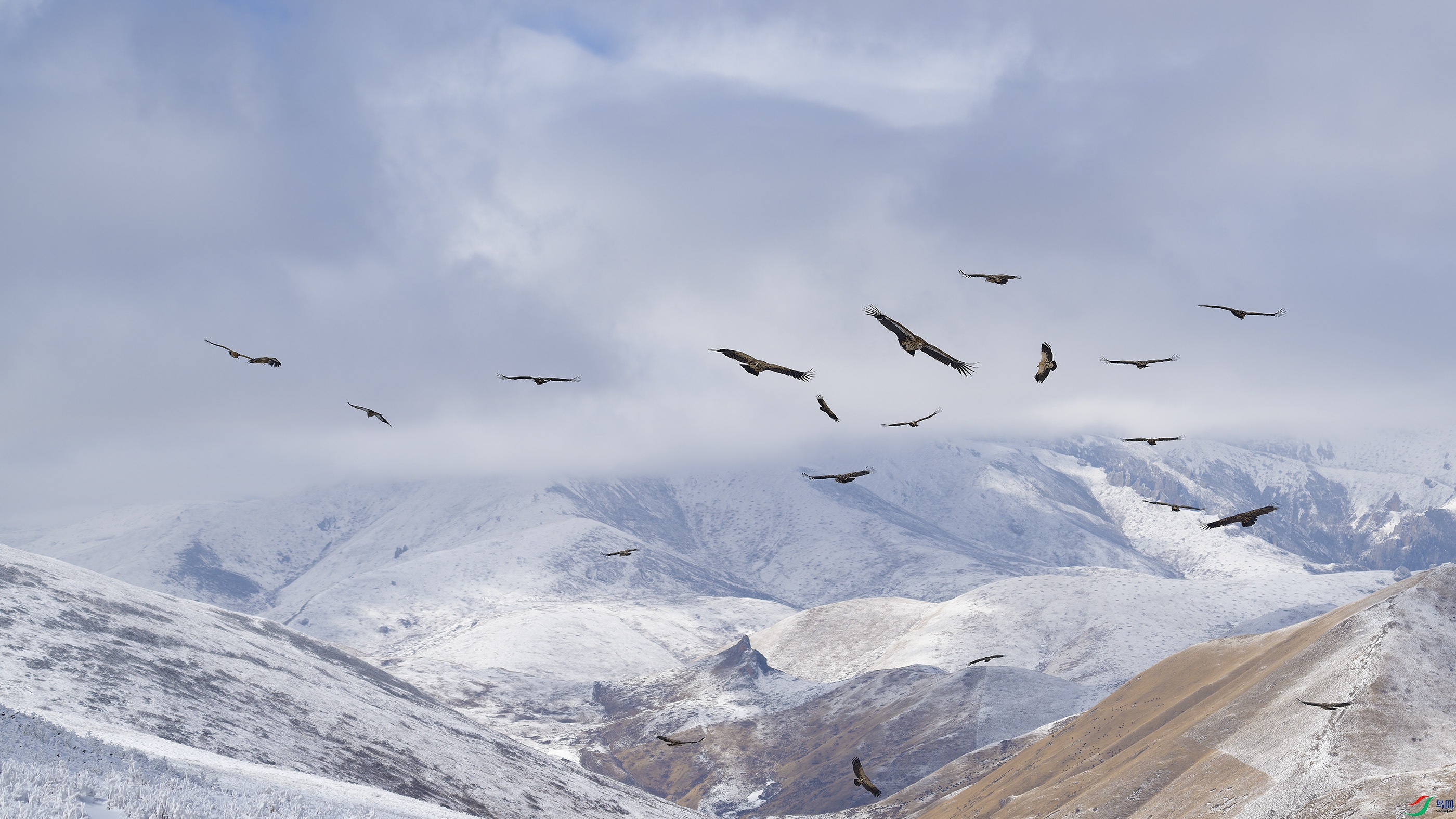 DSC_4877_DxO.jpg