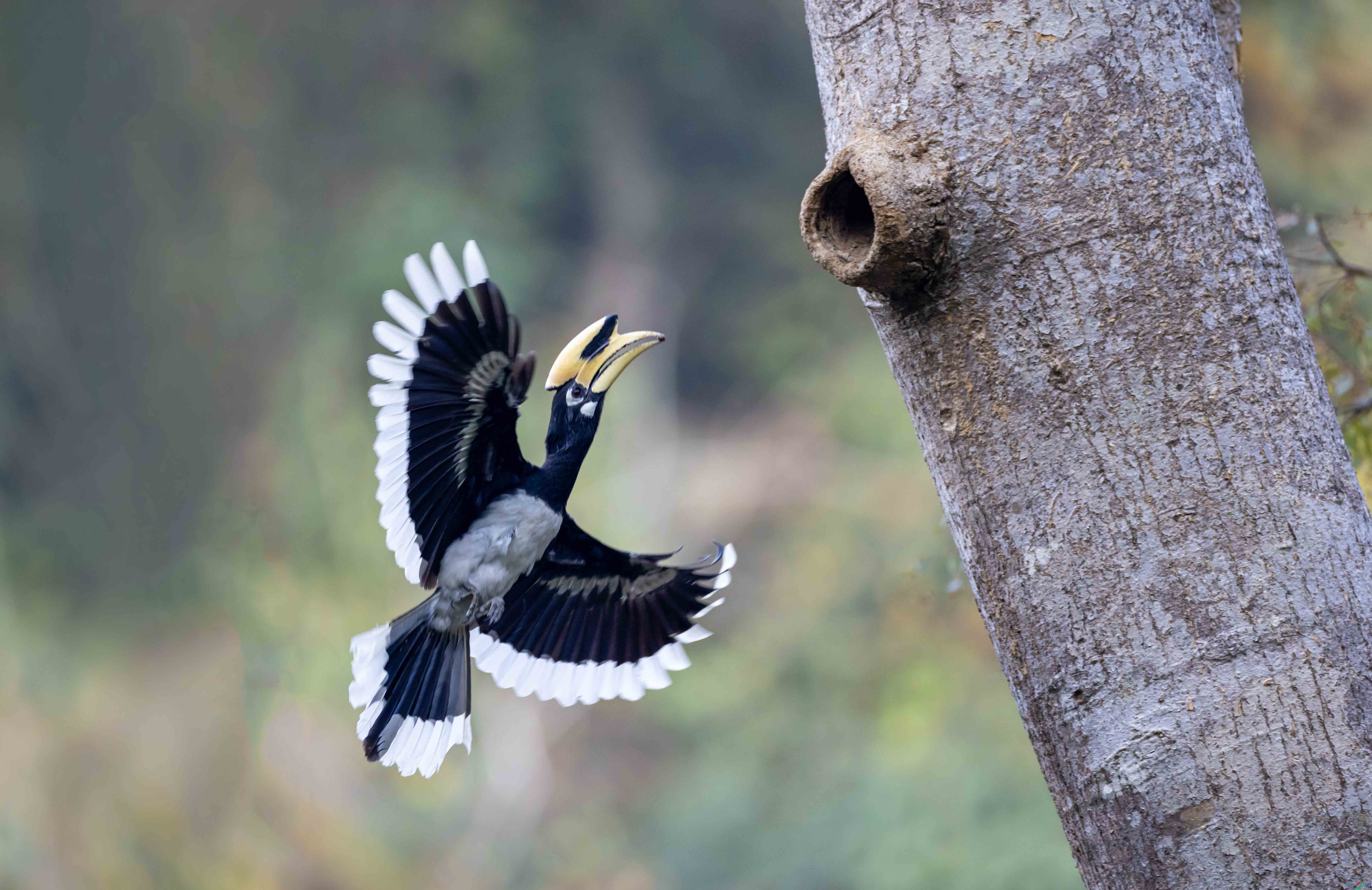 1-4L2A8043 ���� 2-xt�Ͳ�.jpg