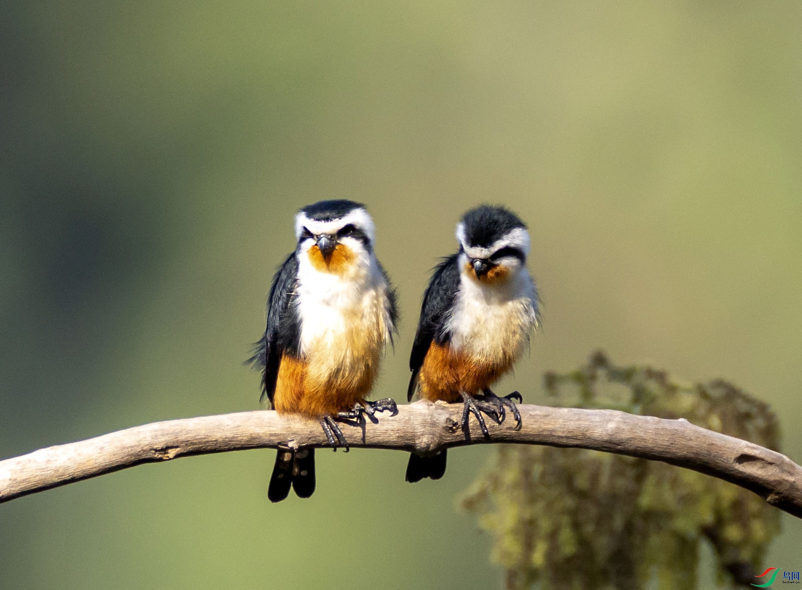 1-xt4L2A8398 ���� ����.jpg