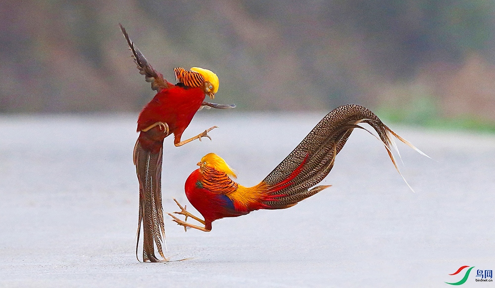 �츹���� (4).jpg