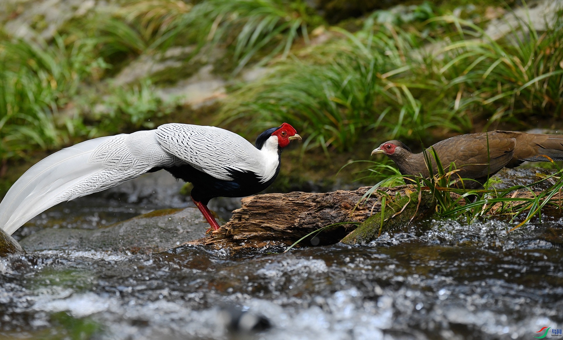 DSC_8621.jpg