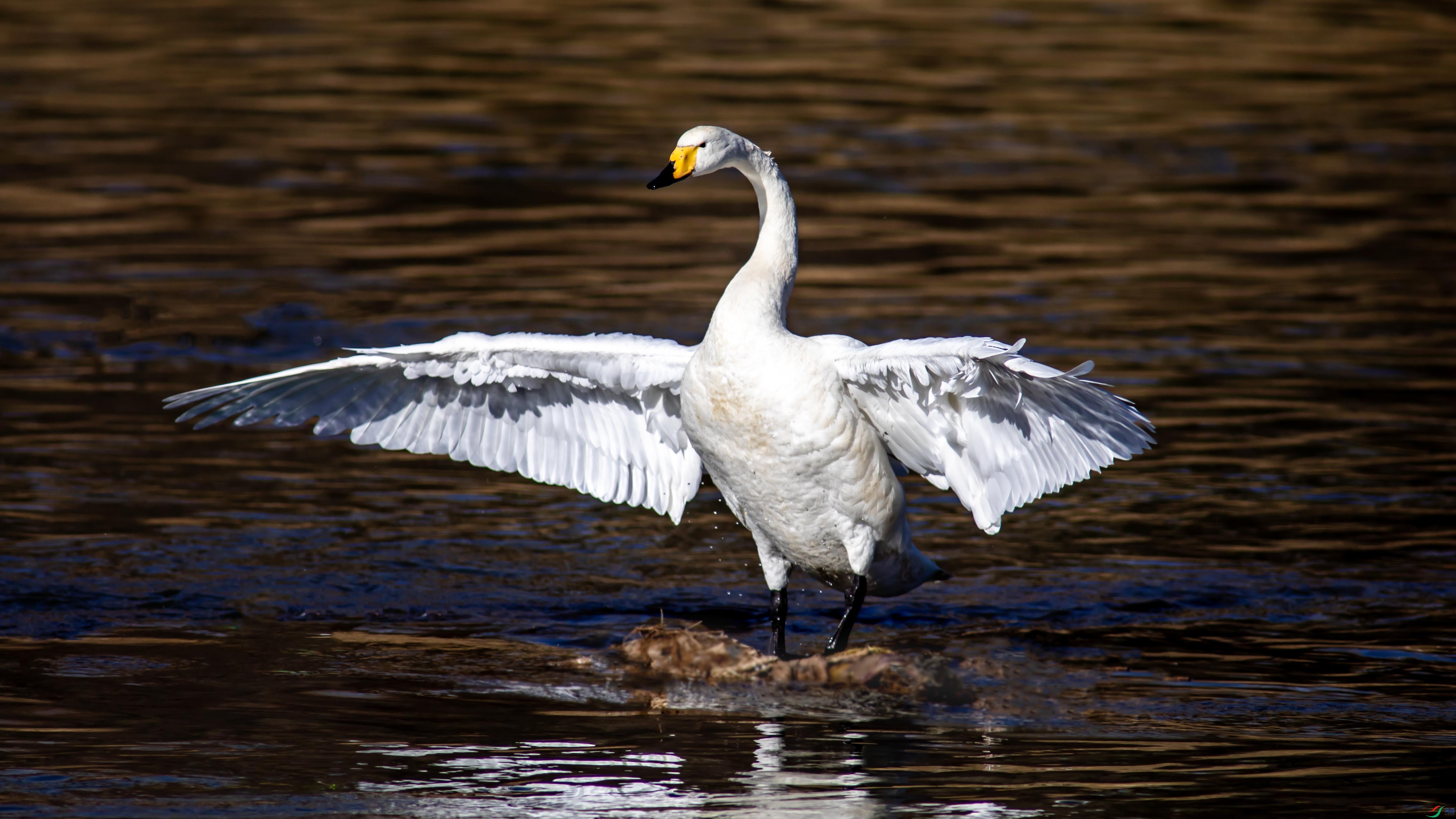 I99A8719 �����.jpg