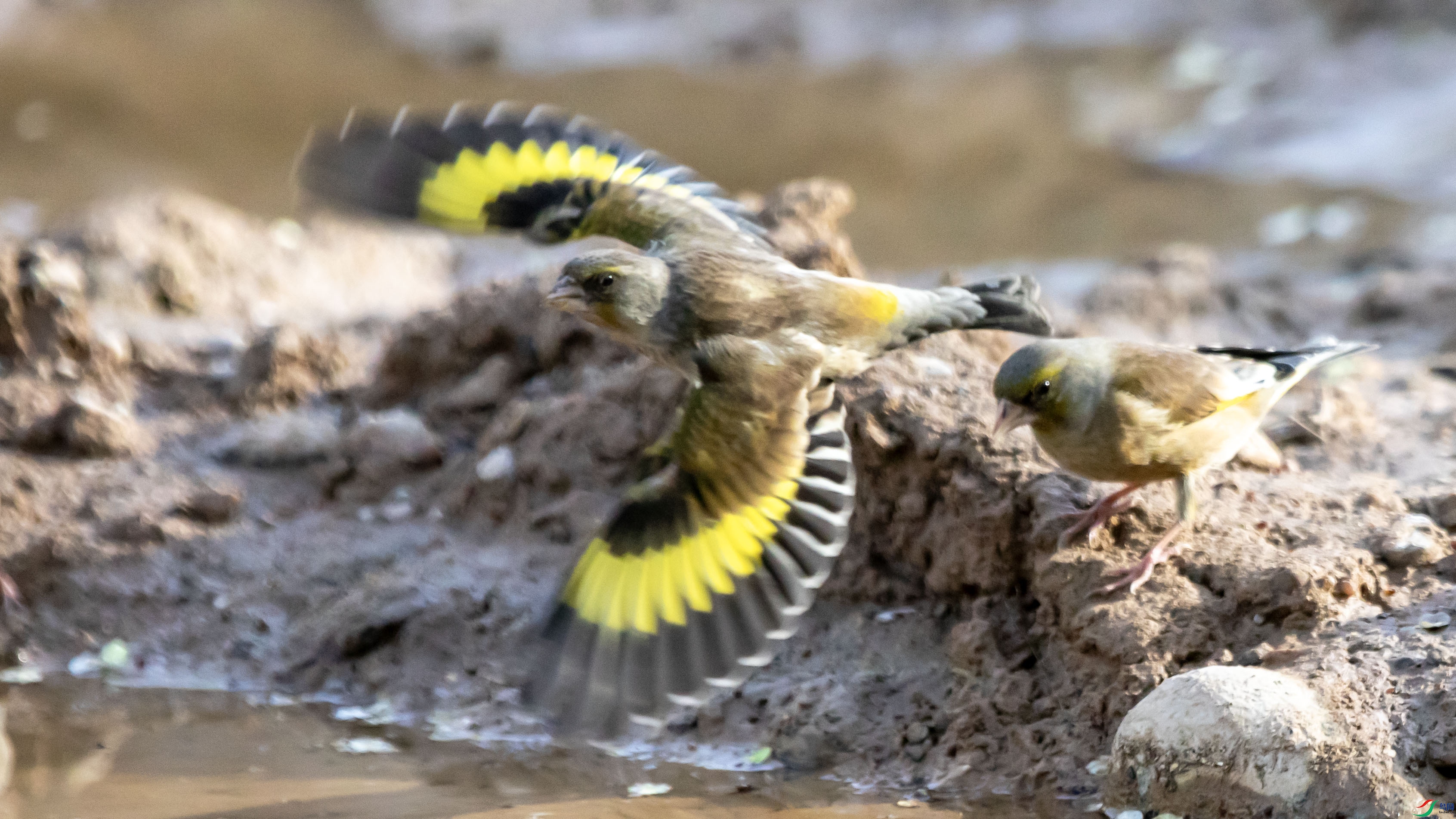 I99A0893 ���ȸŶ.jpg