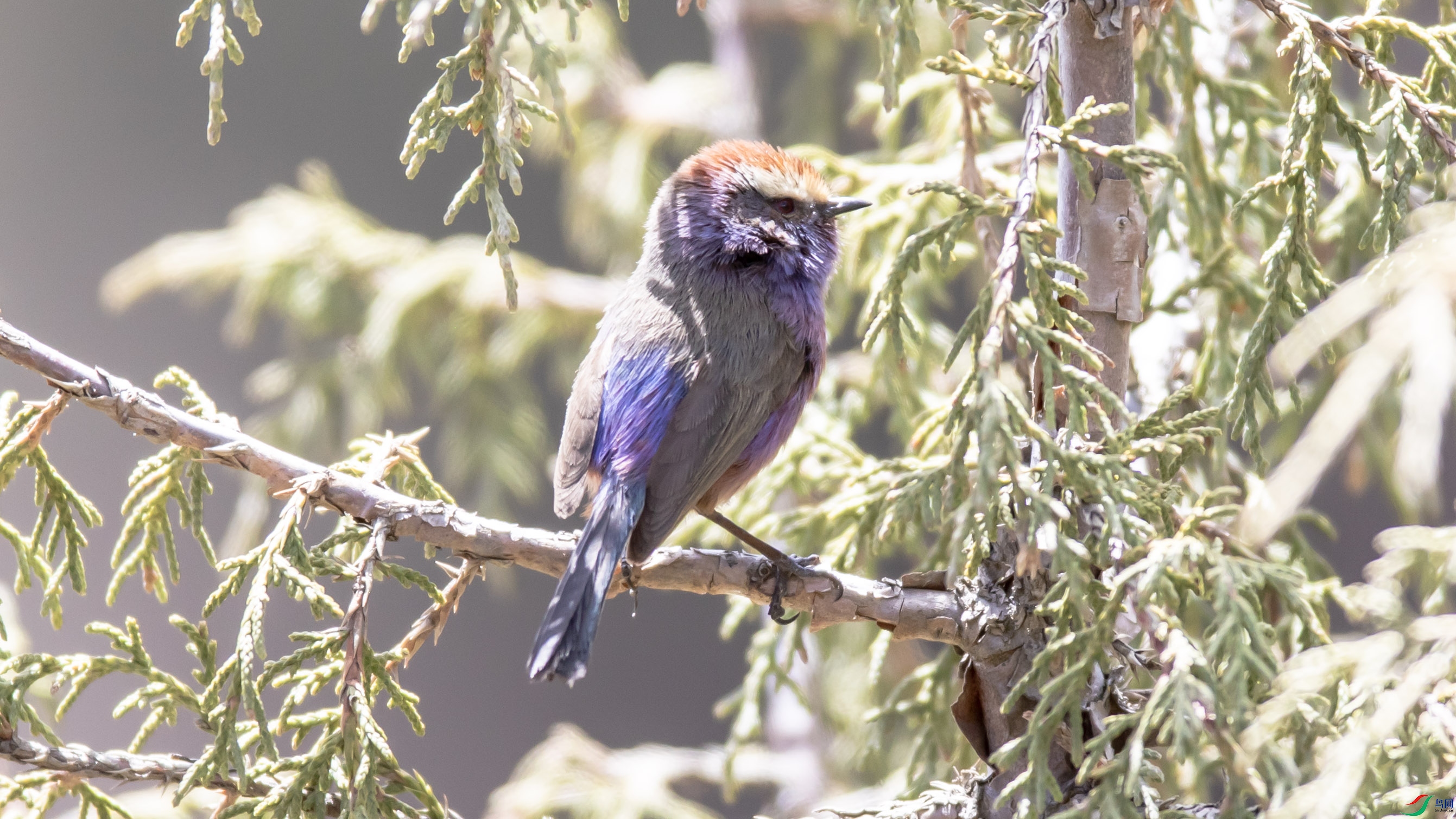 I99A1150 ����ȸݺ��.jpg