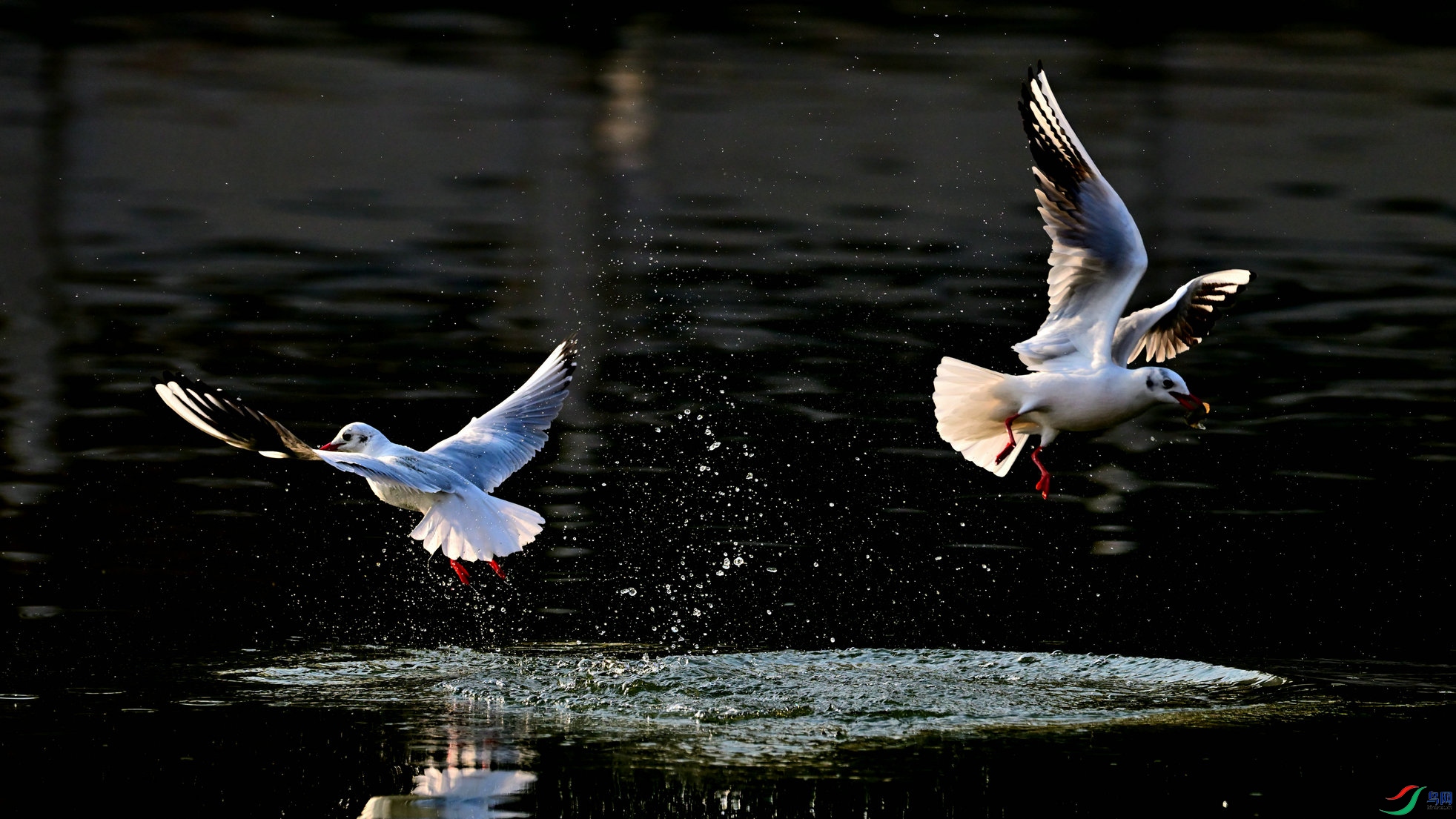 DSC_5770_01.jpg
