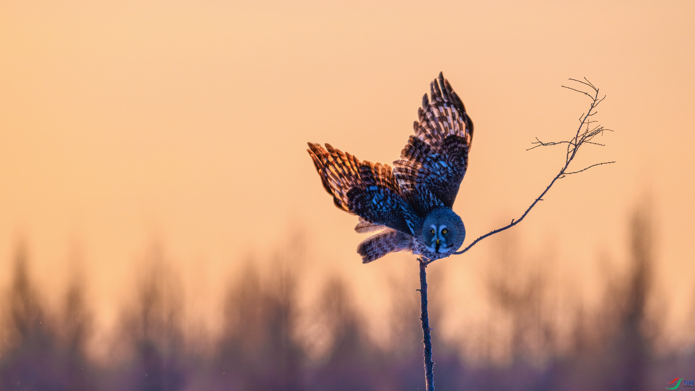 DSC_0174-����ǿ-NR ����01.jpg