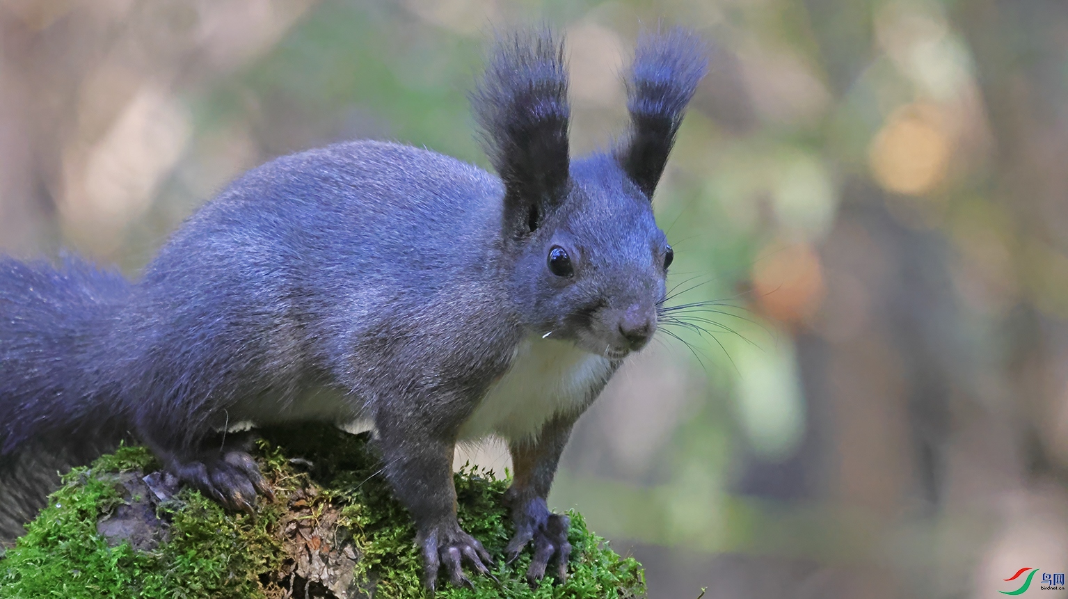 3U2A5427 ���� 2.jpg