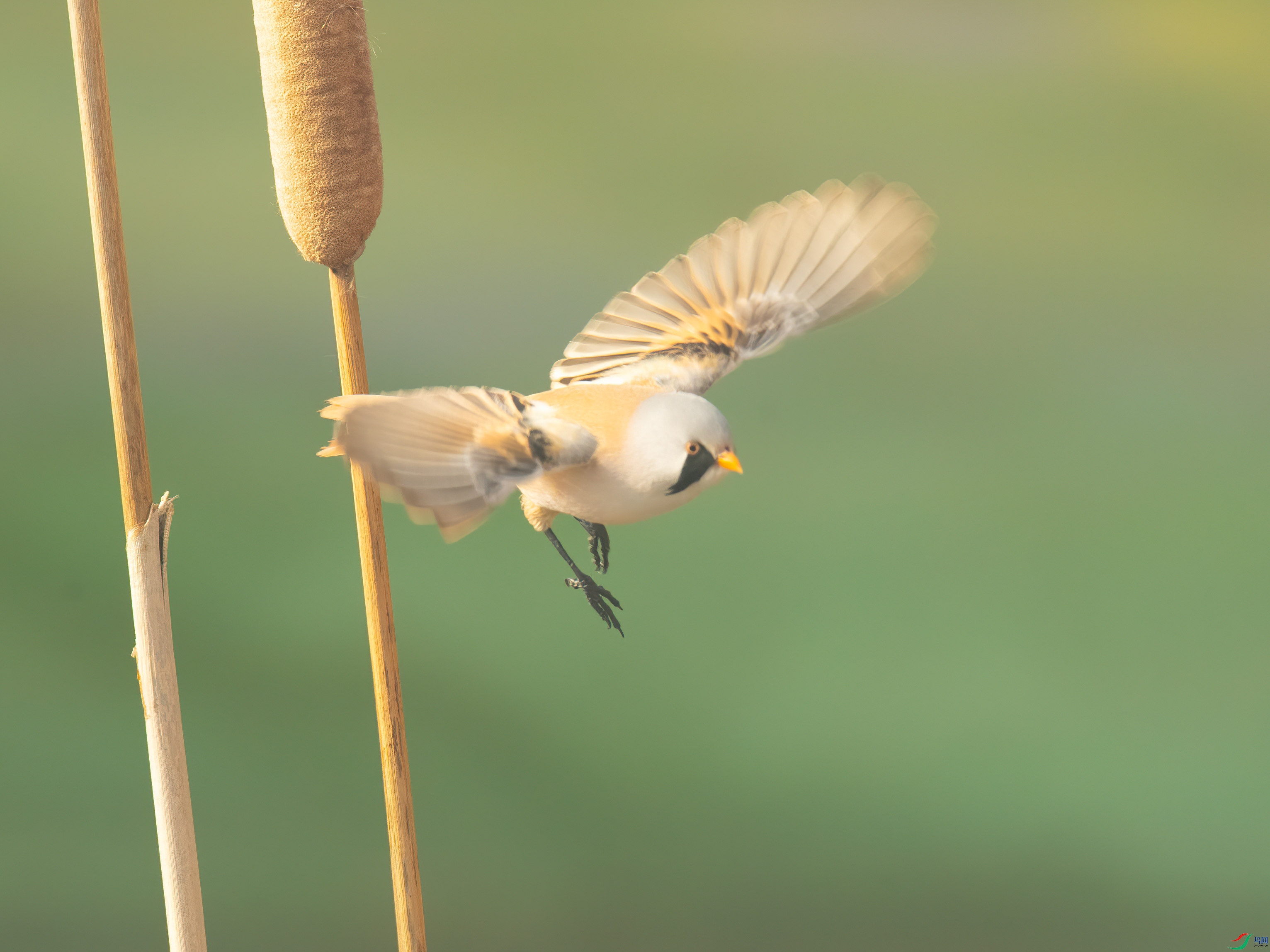 ����ȸ (4).jpg