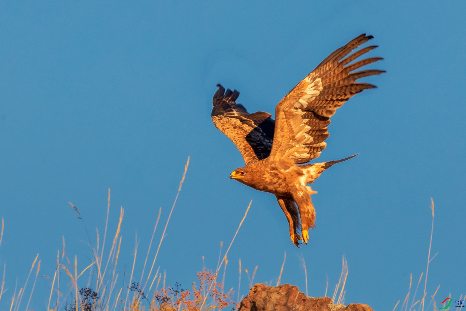 ��ԭ��----������Ӱ�ڿ���