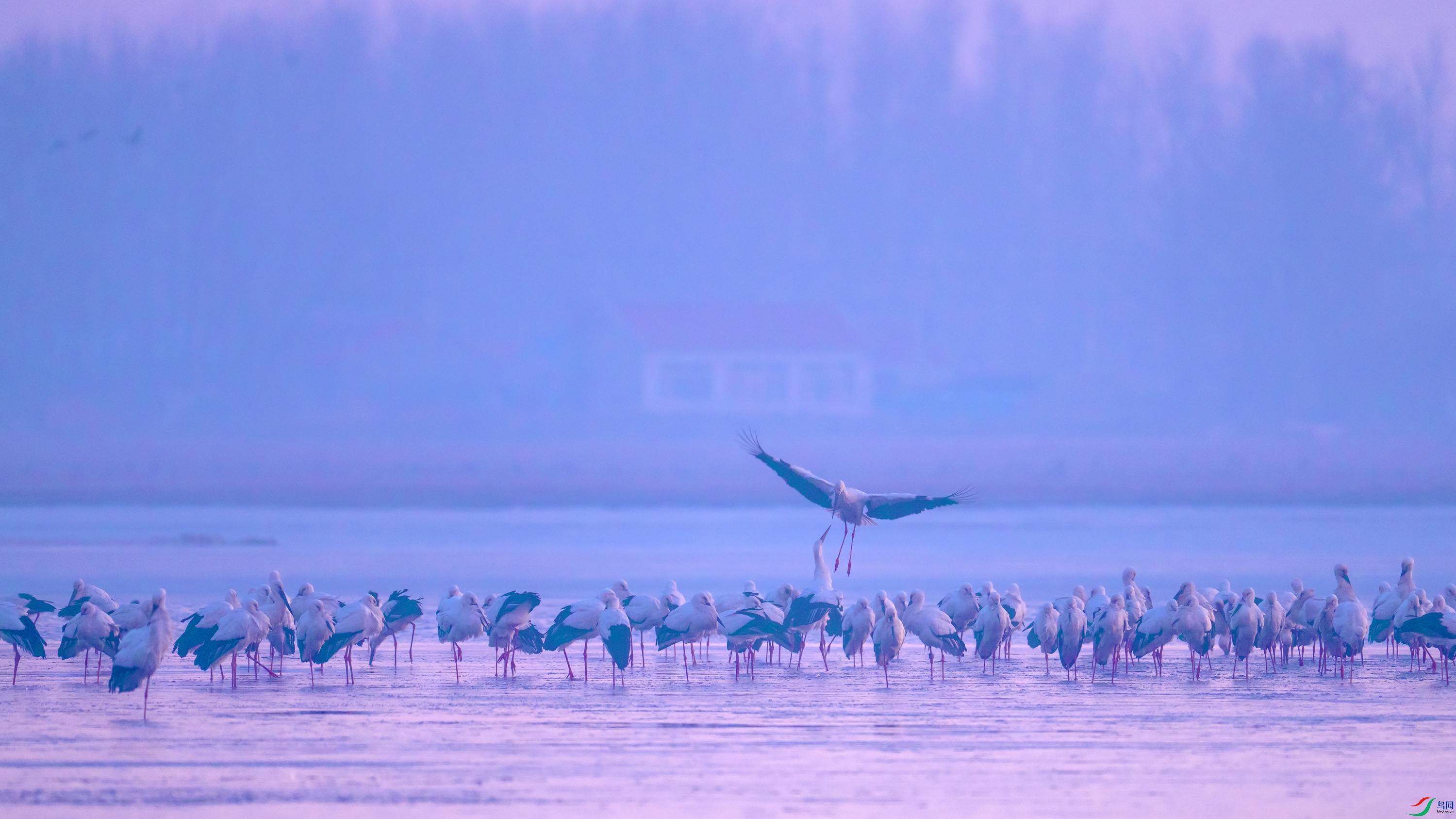 DSC_1068.jpg