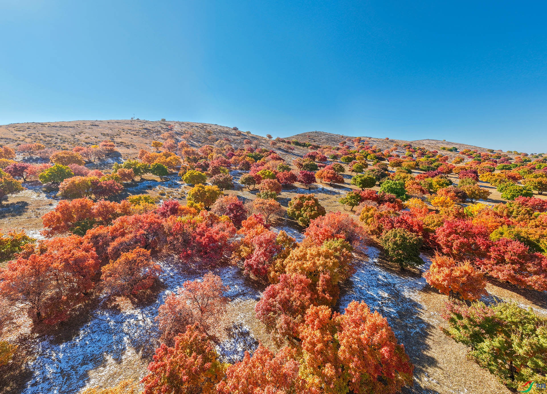 DJI_20251018102322_0020_D ����.jpg