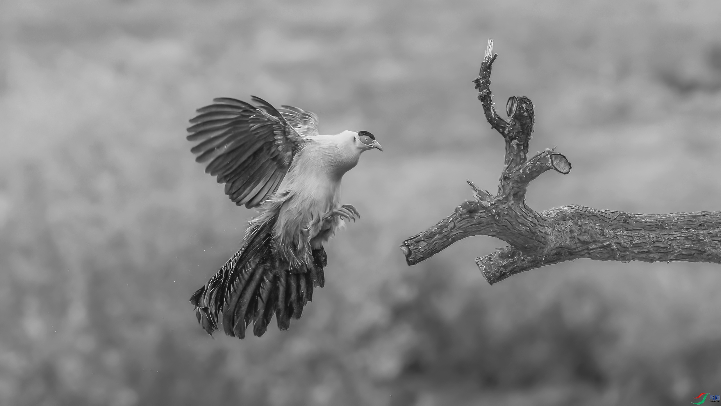 _09R9607 ����1.jpg