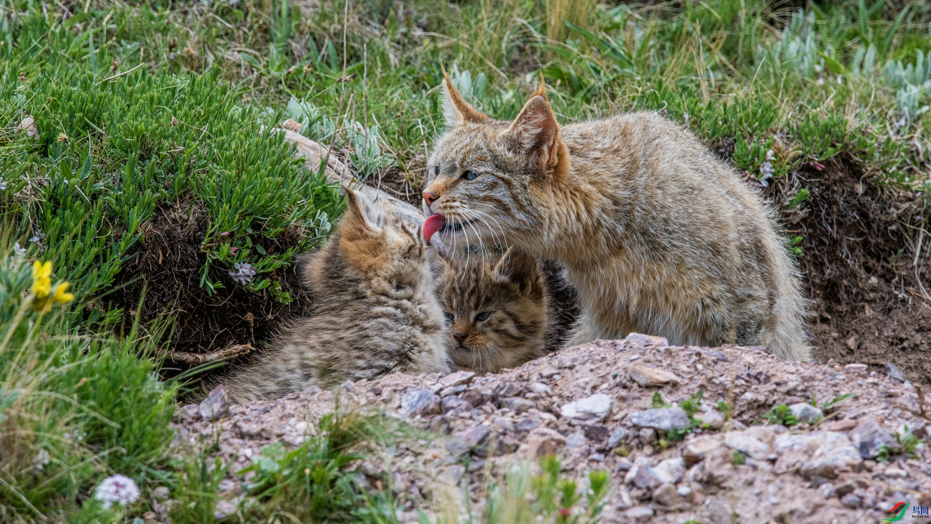 _DSC6132 ����_����.jpg