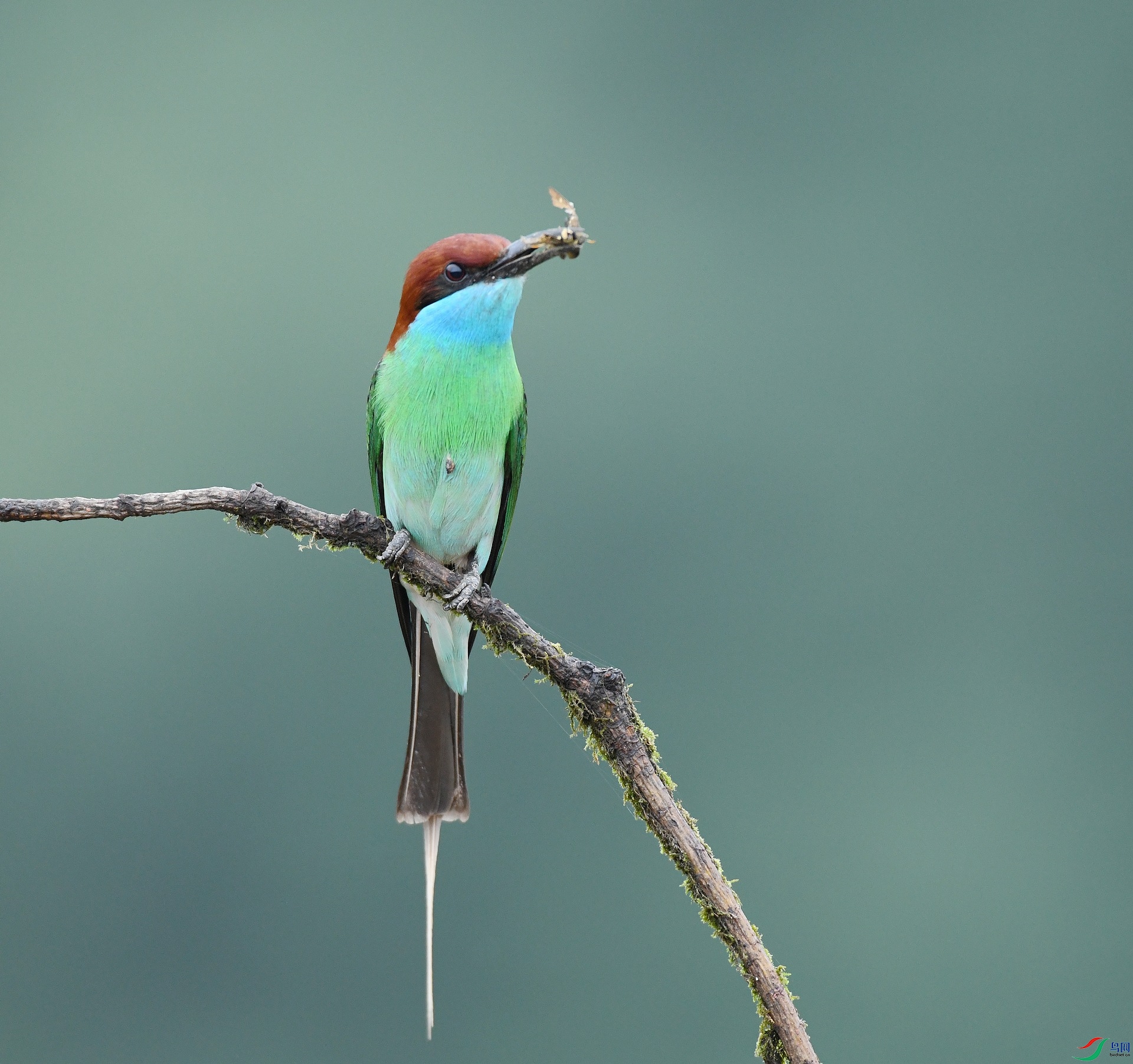 DSC_3896.jpg