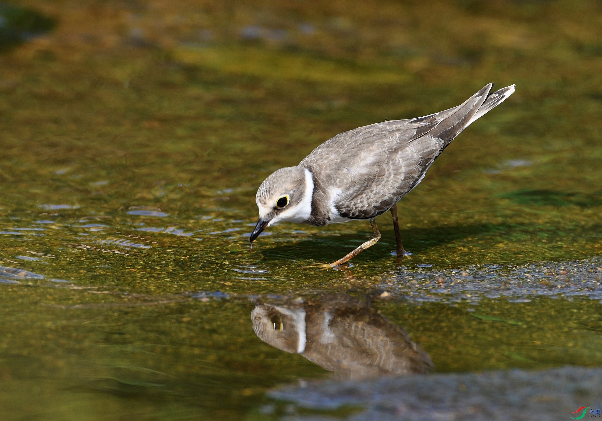 DSC_5966.jpg