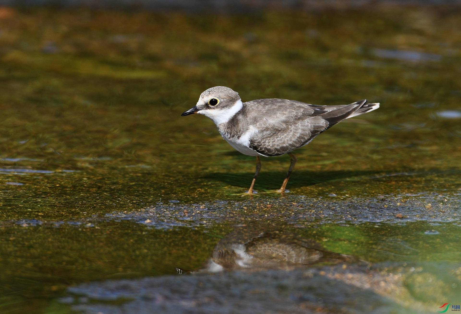DSC_5959.jpg