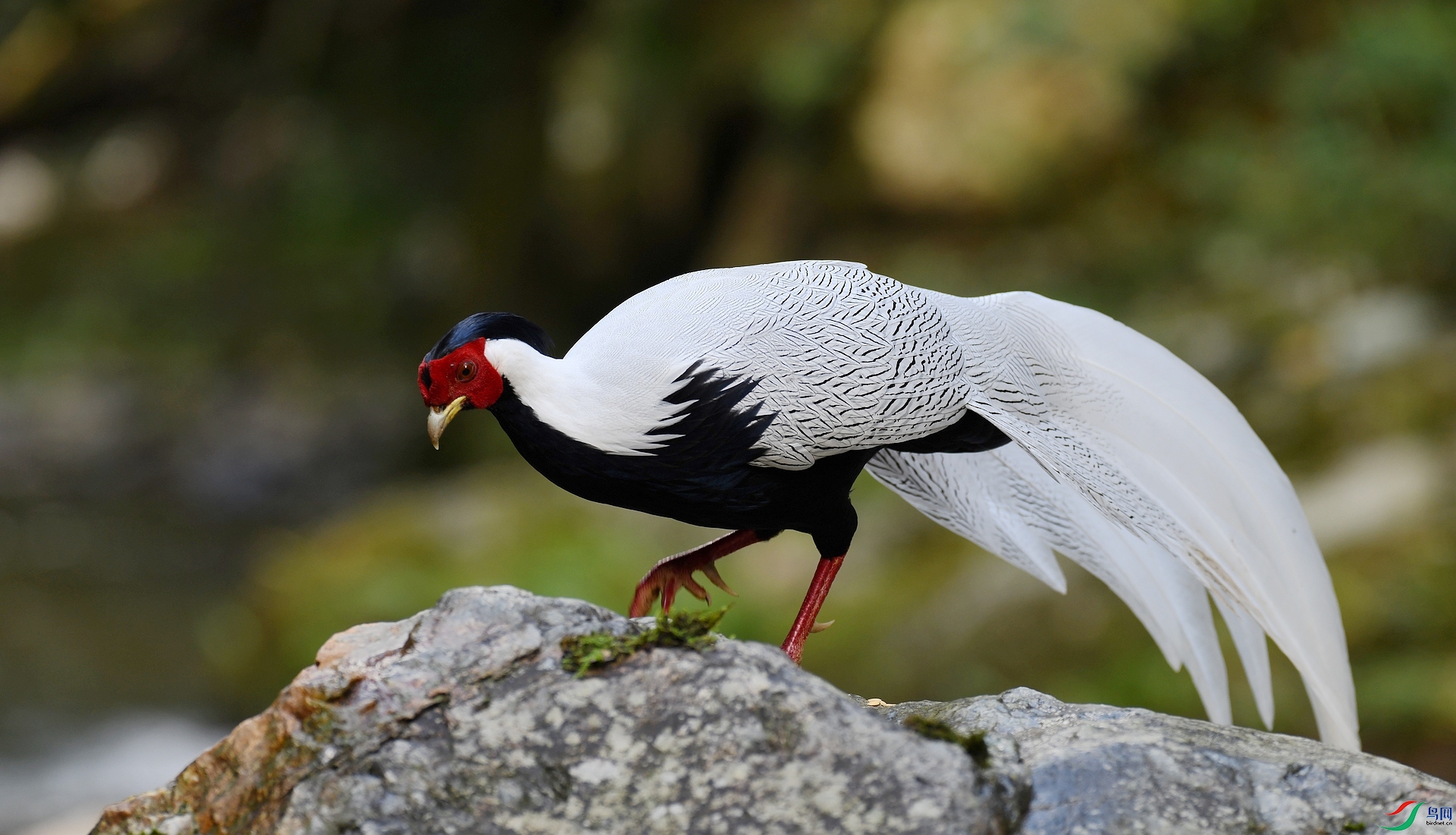 DSC_6940.jpg