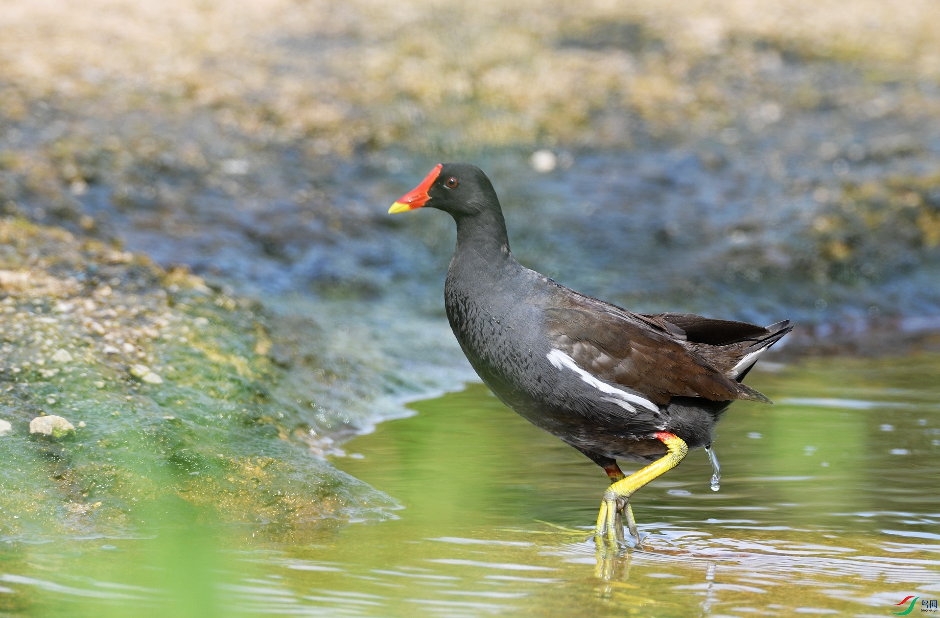 DSC_5801.jpg