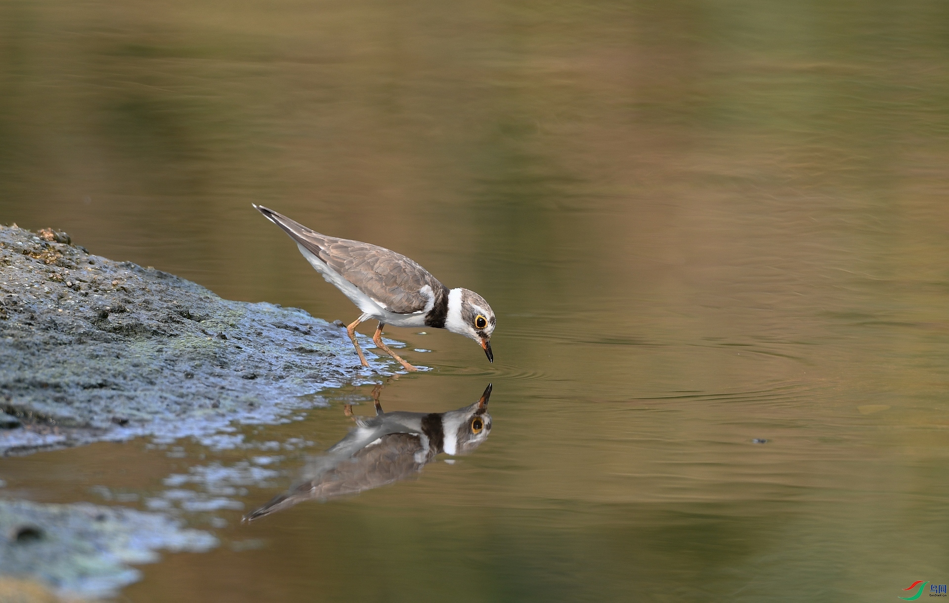 DSC_6635.jpg