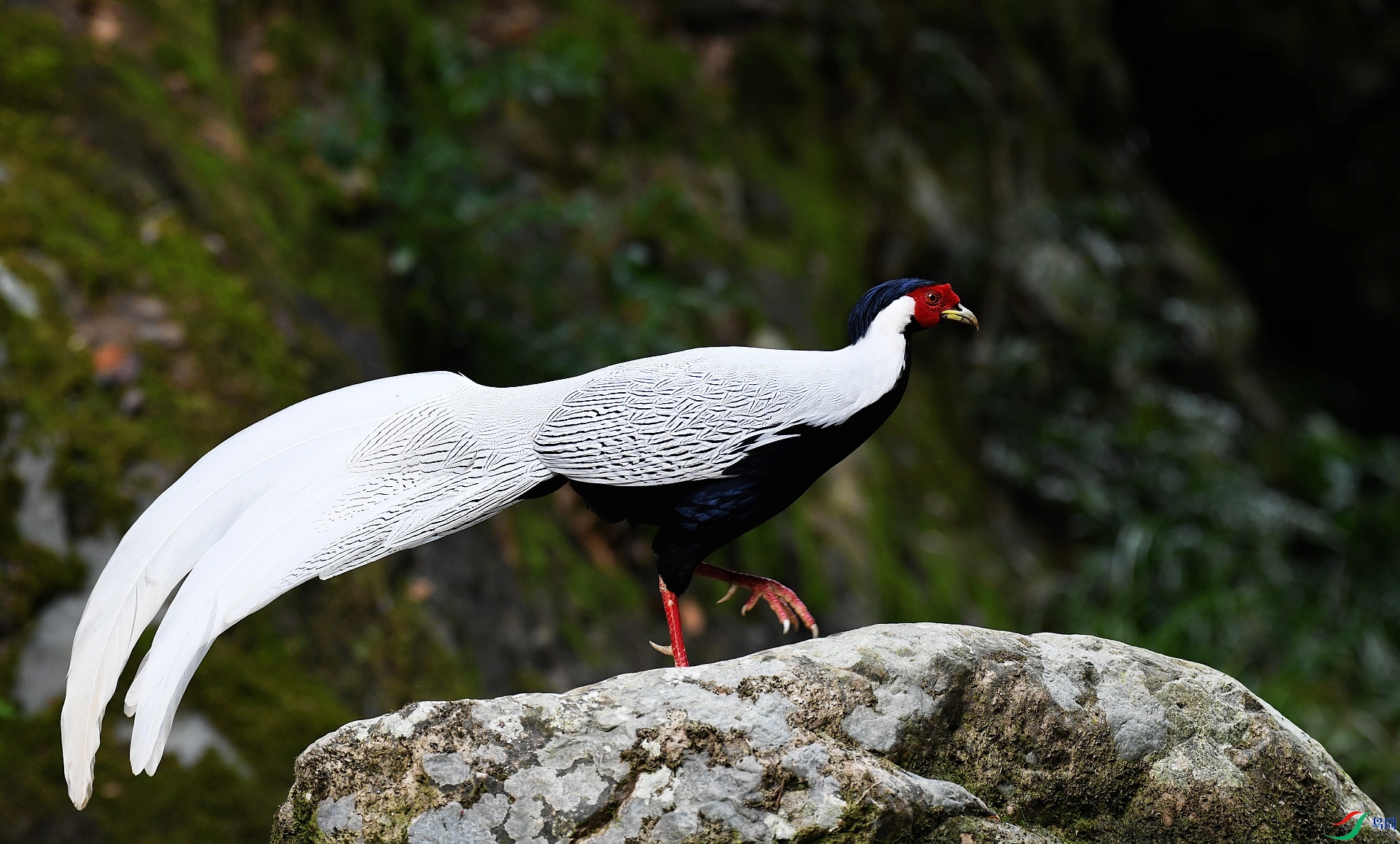 DSC_8354.jpg