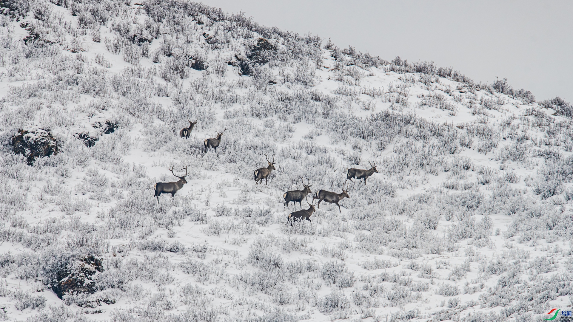 _DSC7224 ����_����.jpg