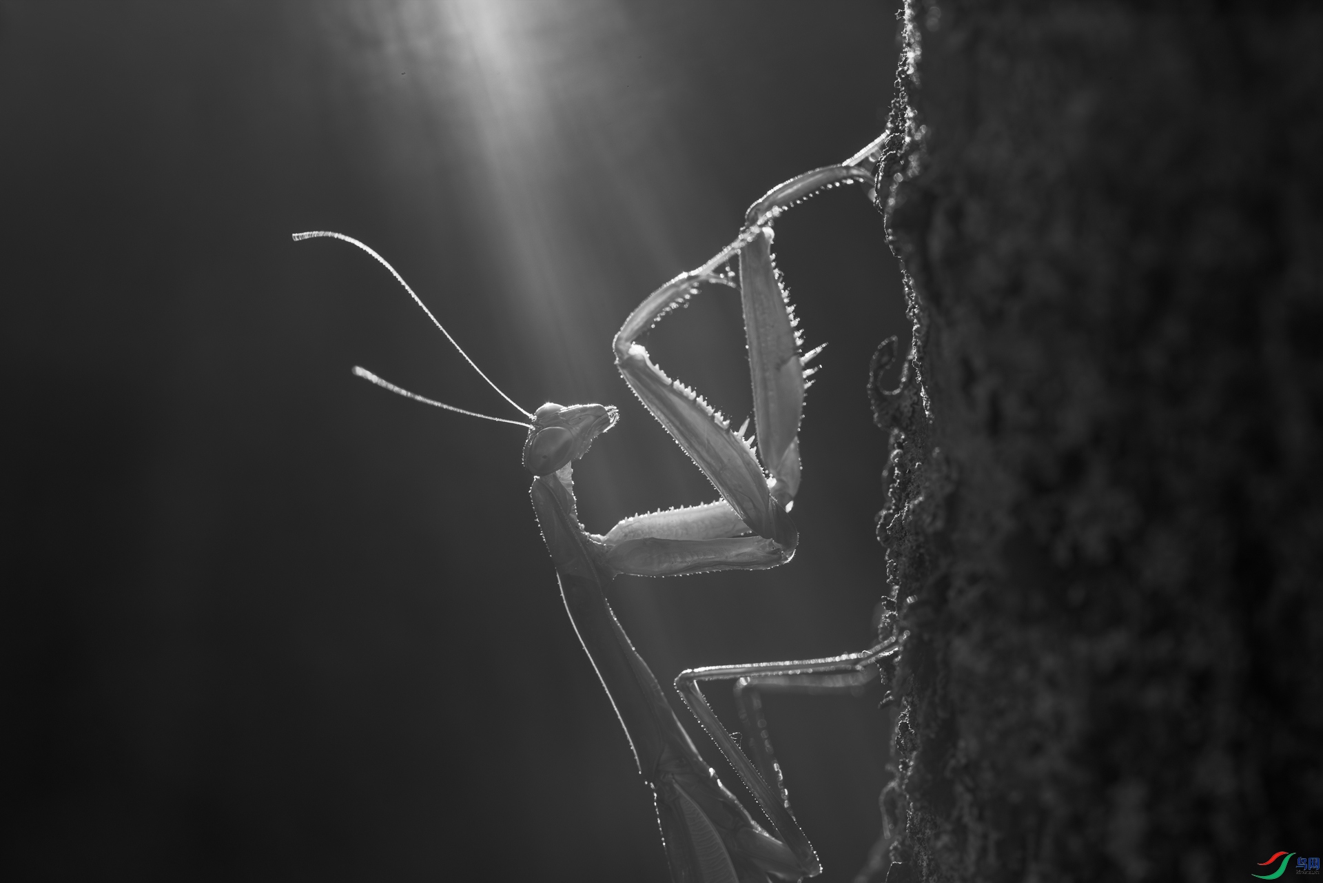 498A6454_3.jpg