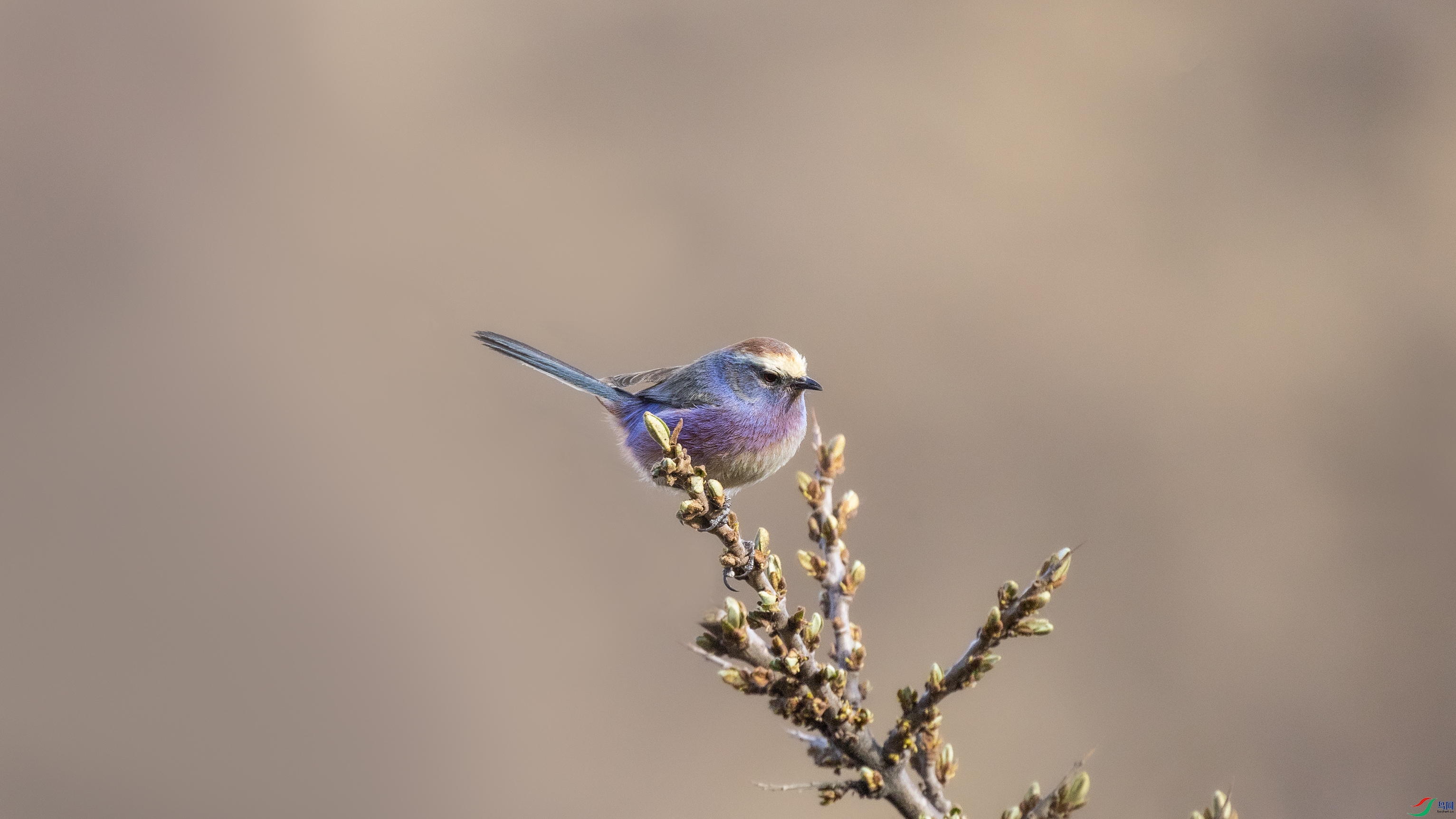 7X5A9571 ����.jpg