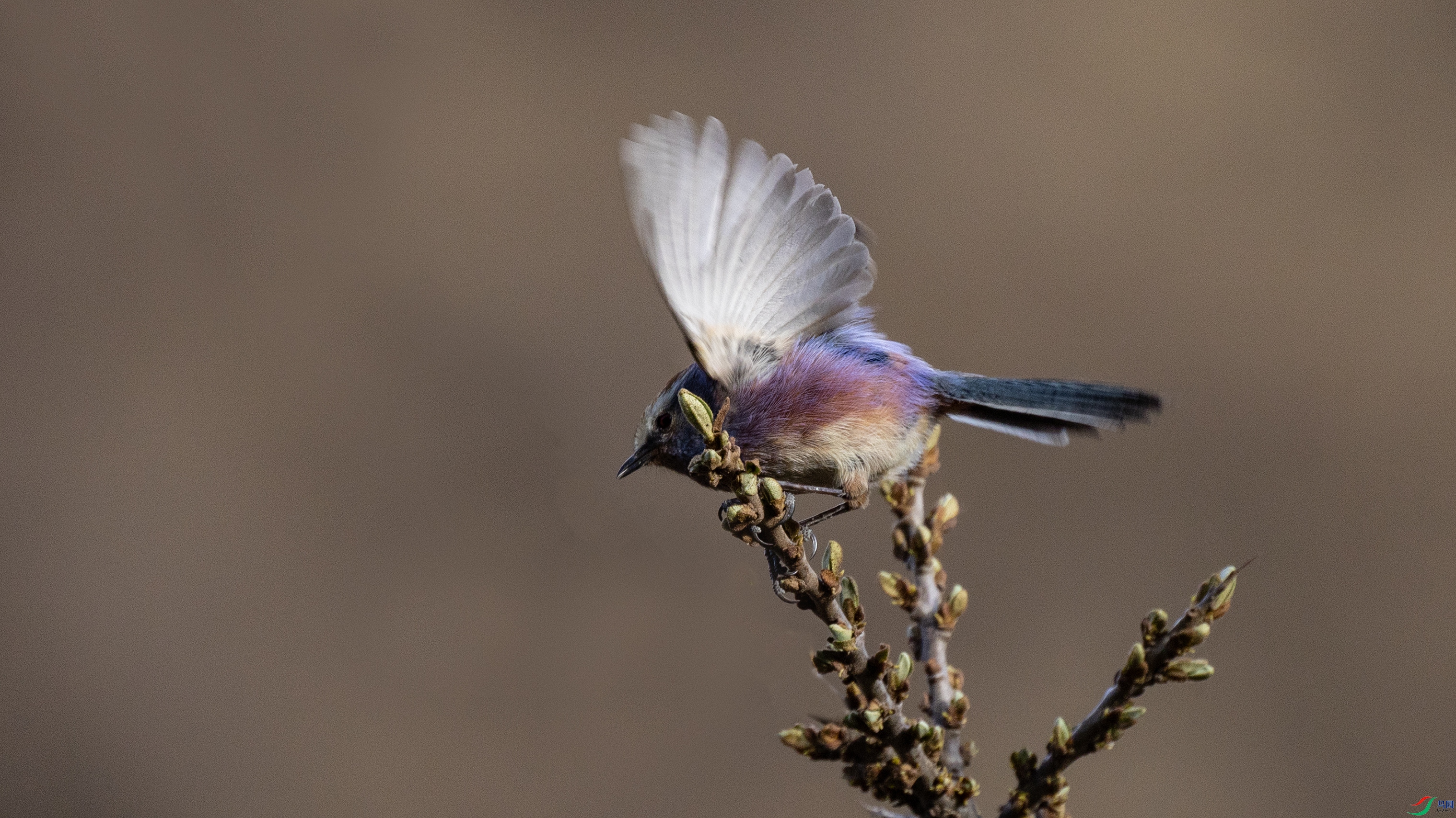 7X5A9587 ����.jpg