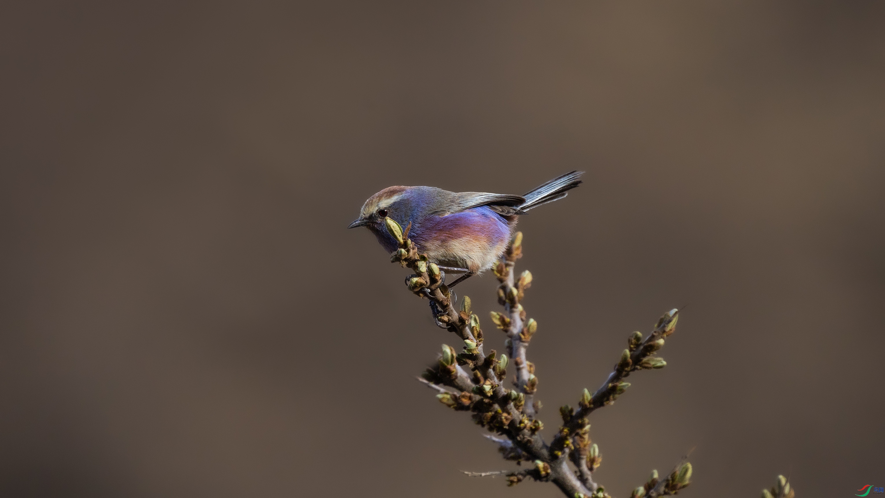 7X5A9594 ����.jpg