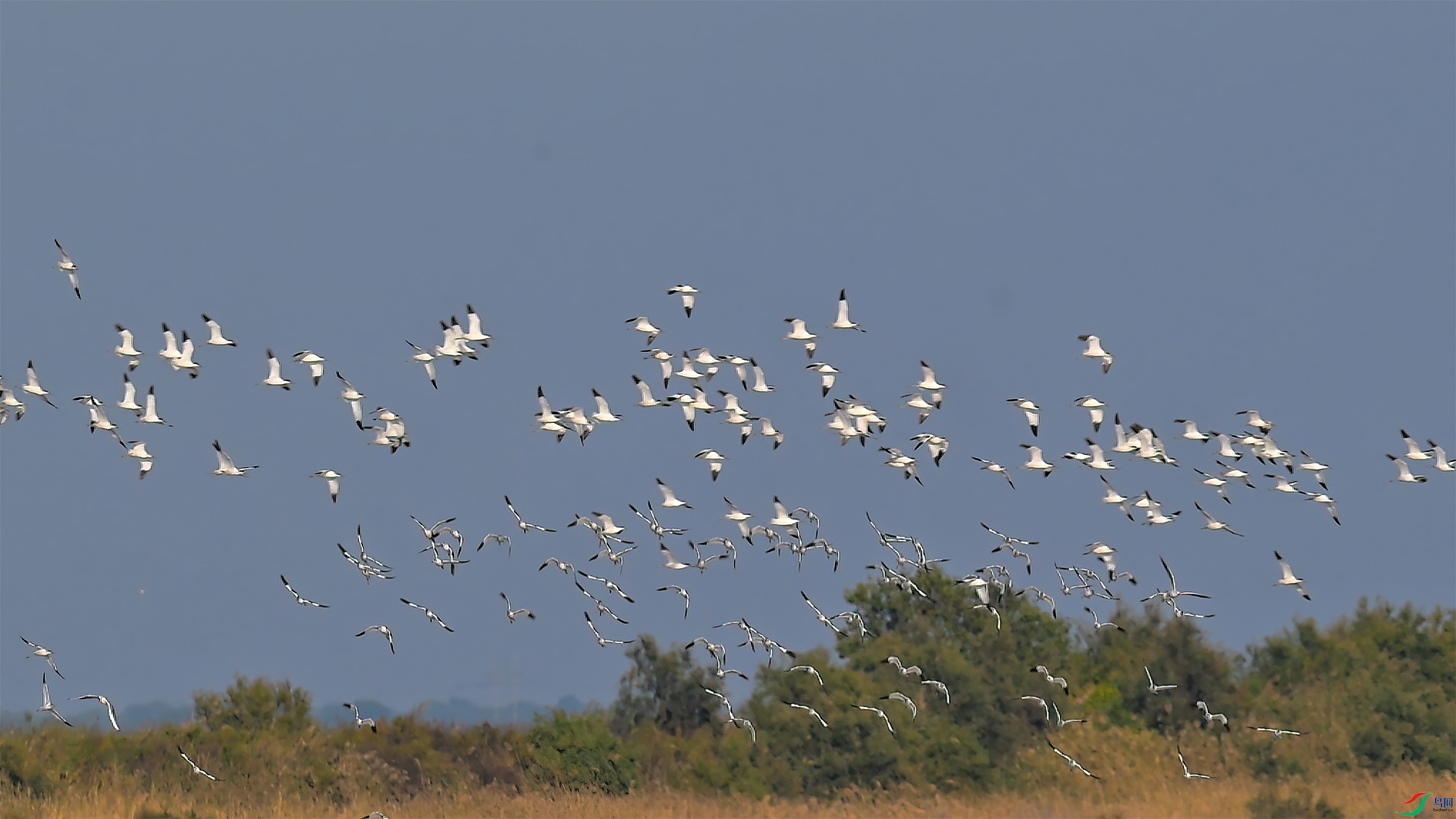 10��15�� (1)(3).jpg