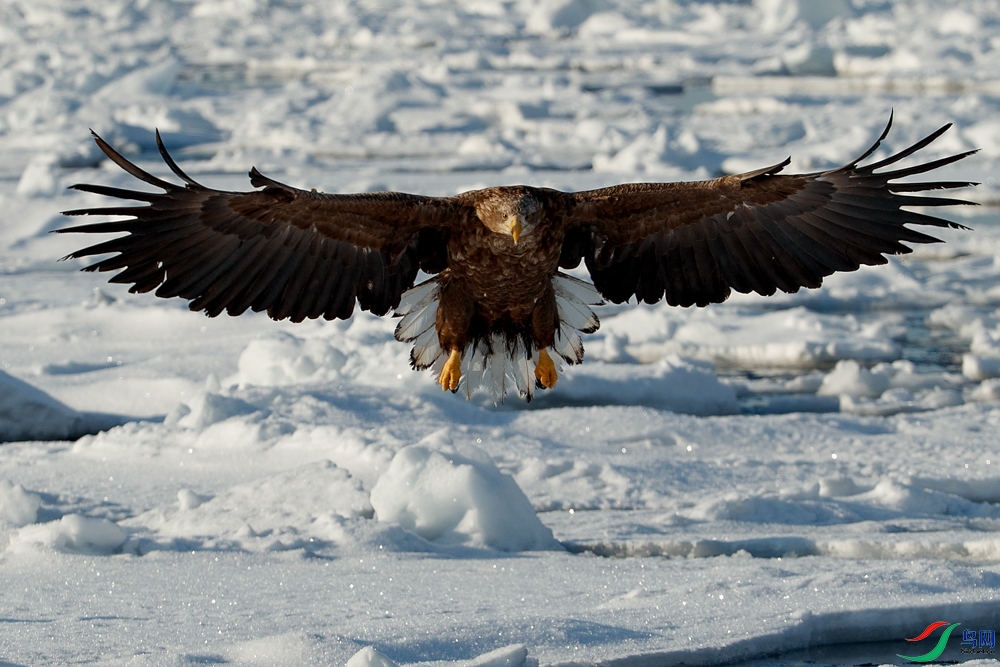 AQ9I6495 ����.jpg