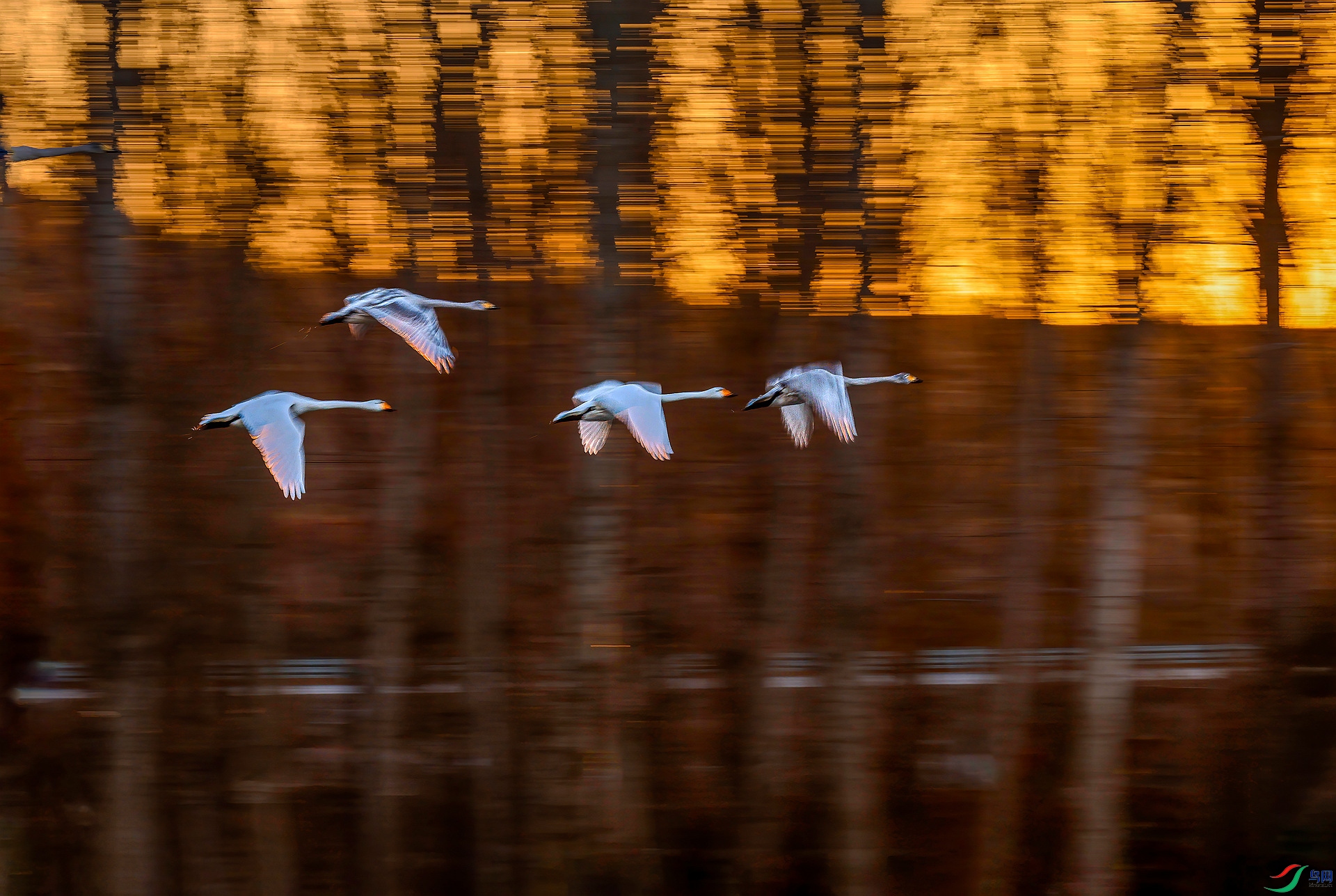 _05A1570 ���� 2_����.jpg