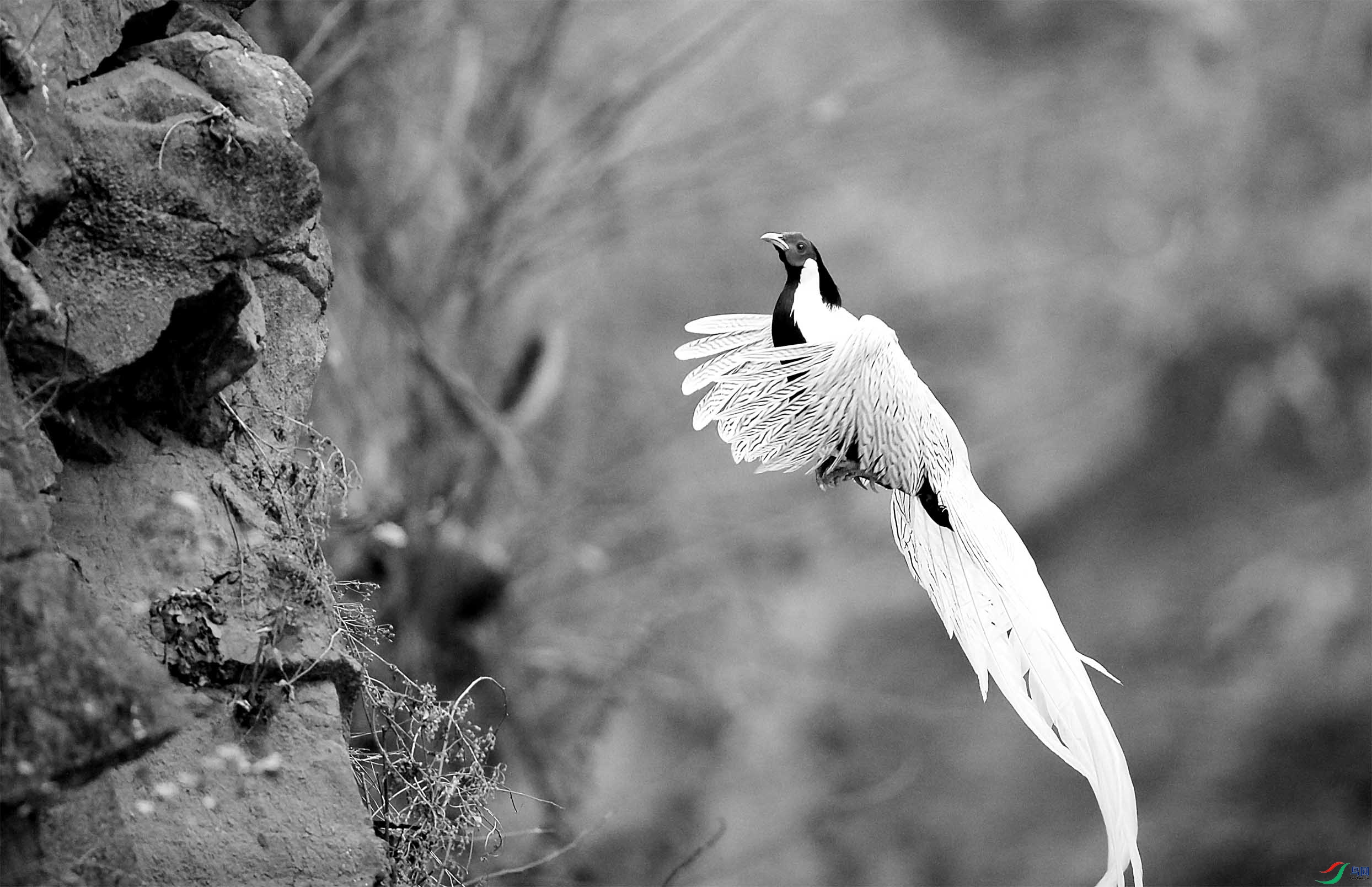 Ư���Ķ���3 ����.jpg