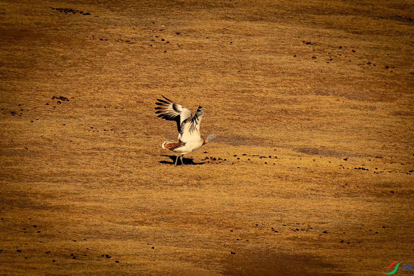 �������1