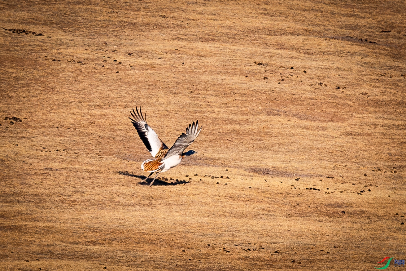 �������2