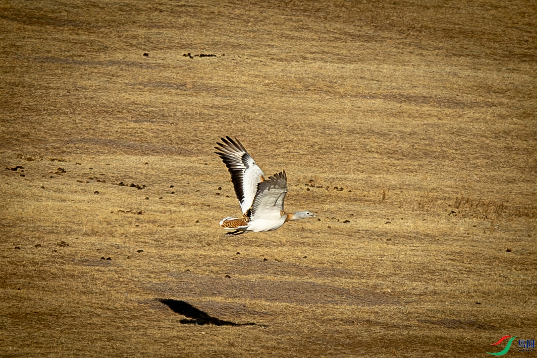 �������3