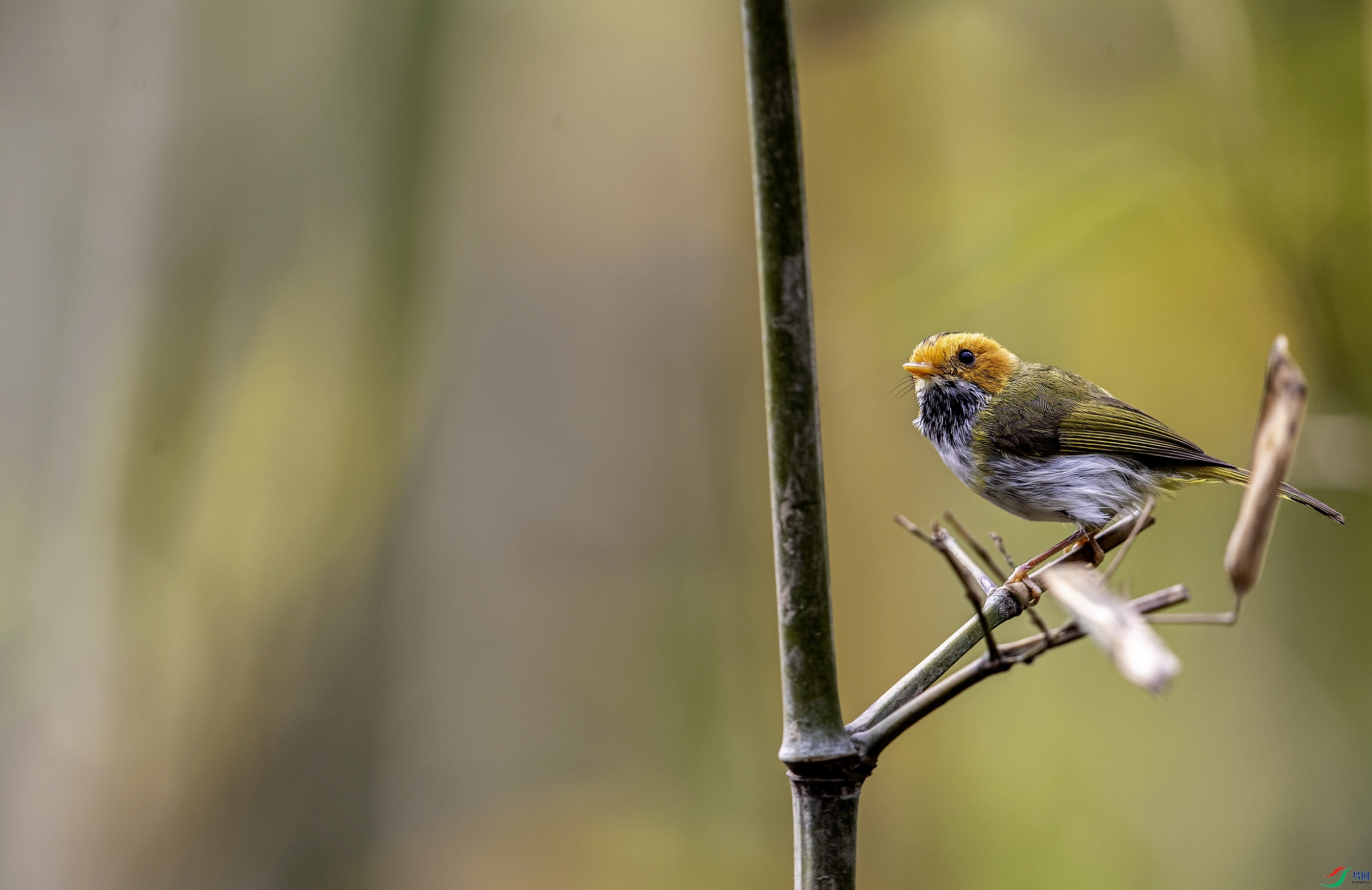 �����lݺ2 (32)--01.jpg