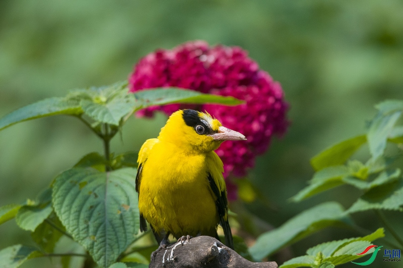 _DSC72483.jpg