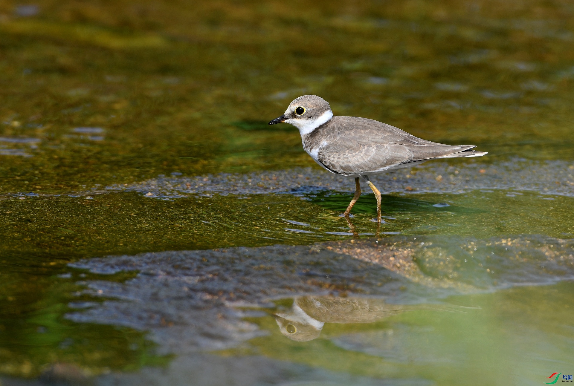 DSC_5905.jpg