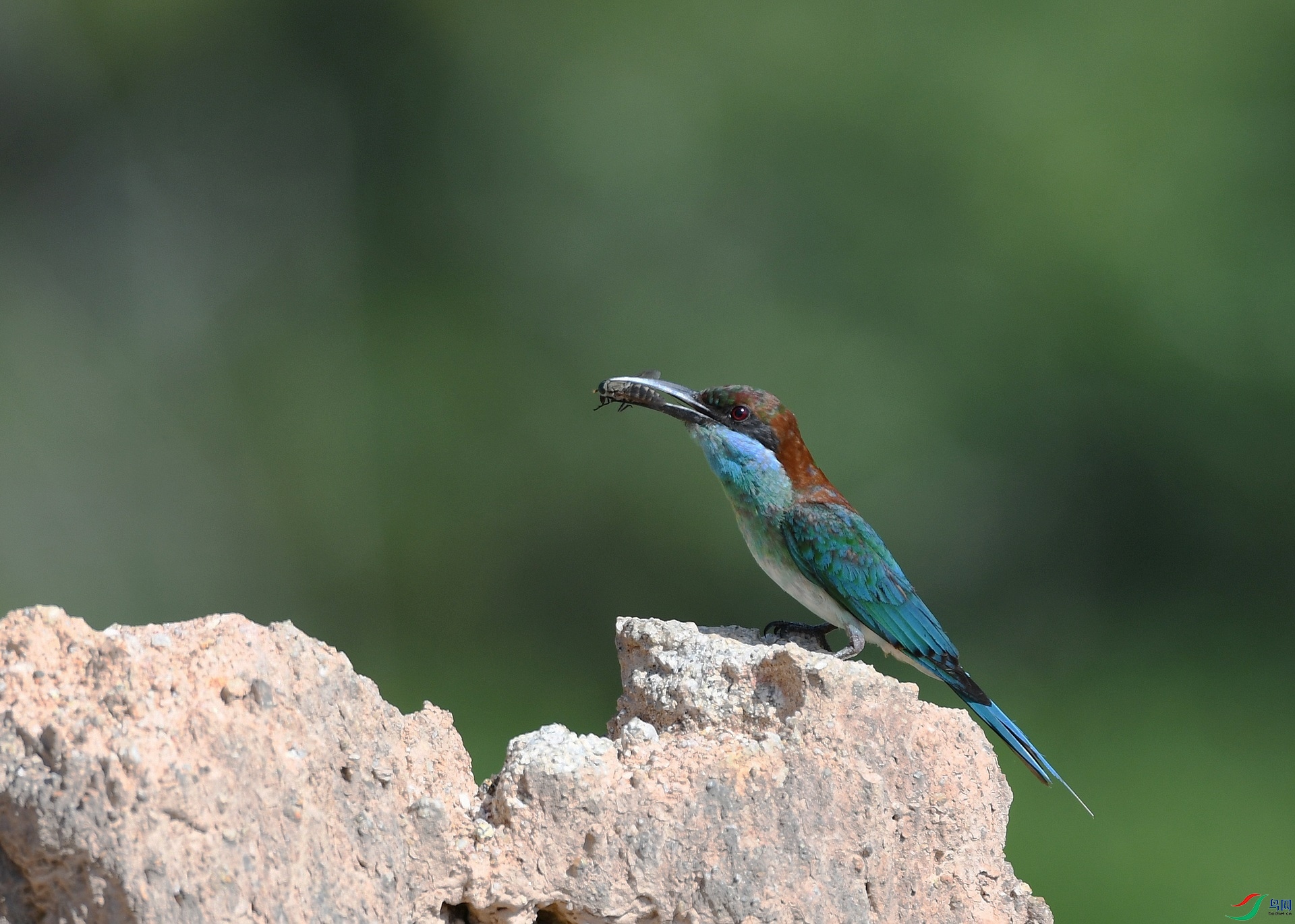 DSC_9572.jpg