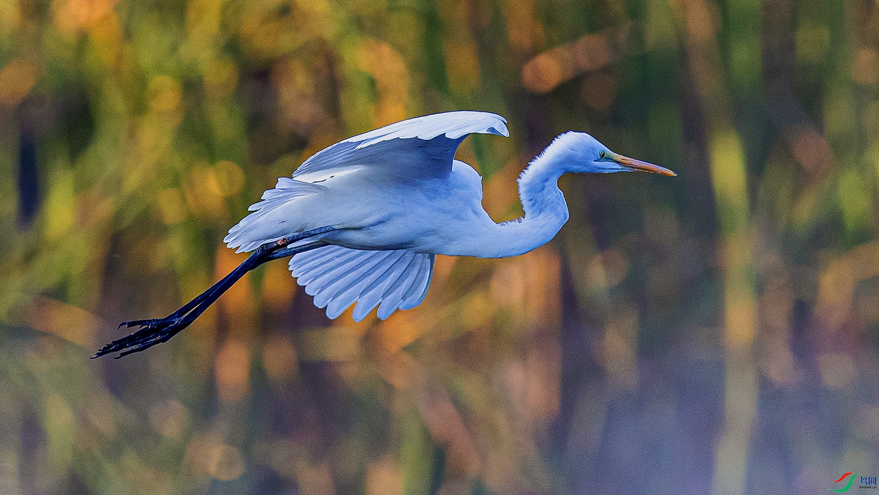 _90I7266 ����.jpg